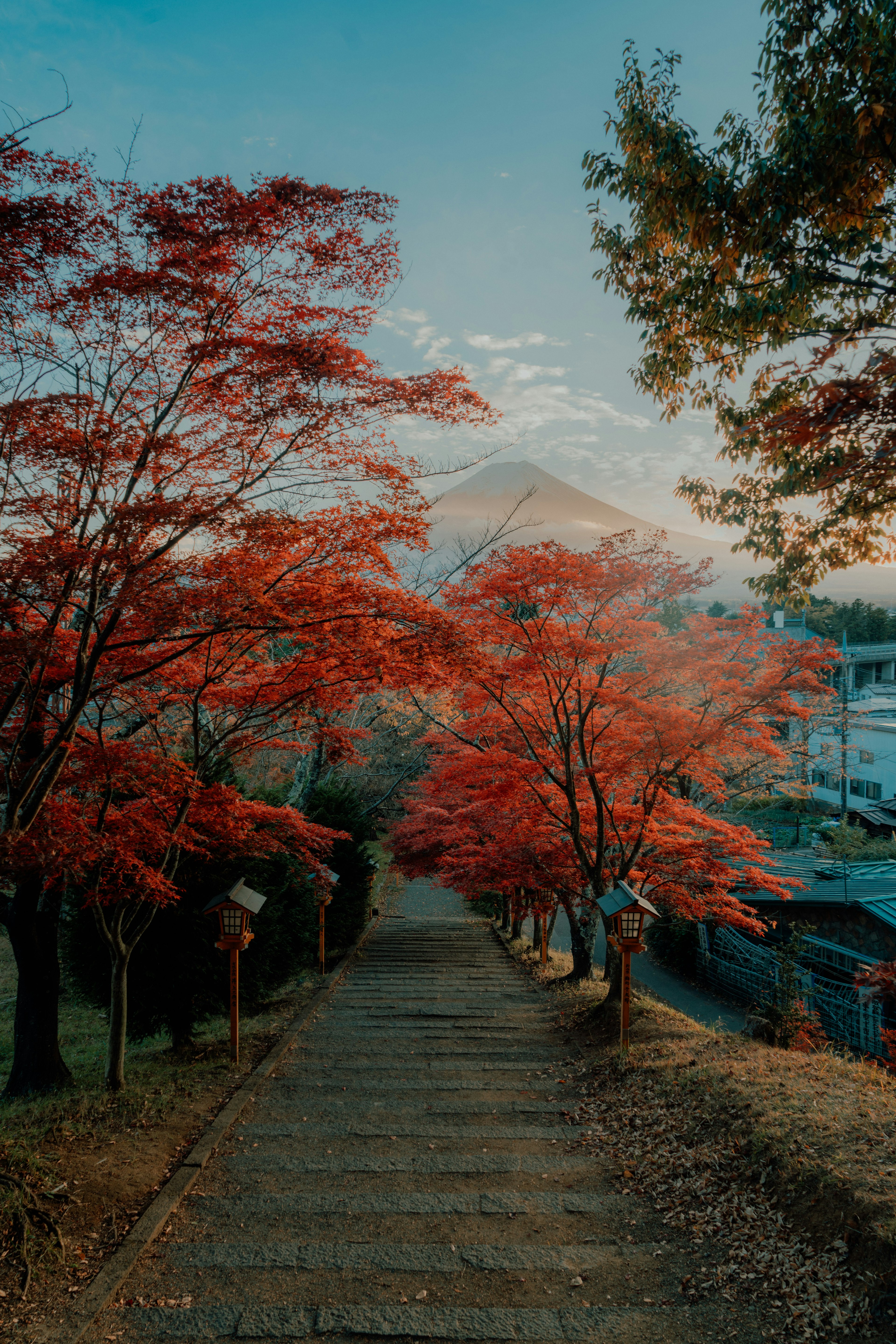 紅葉の木々に囲まれた石の小道と遠くに見える山