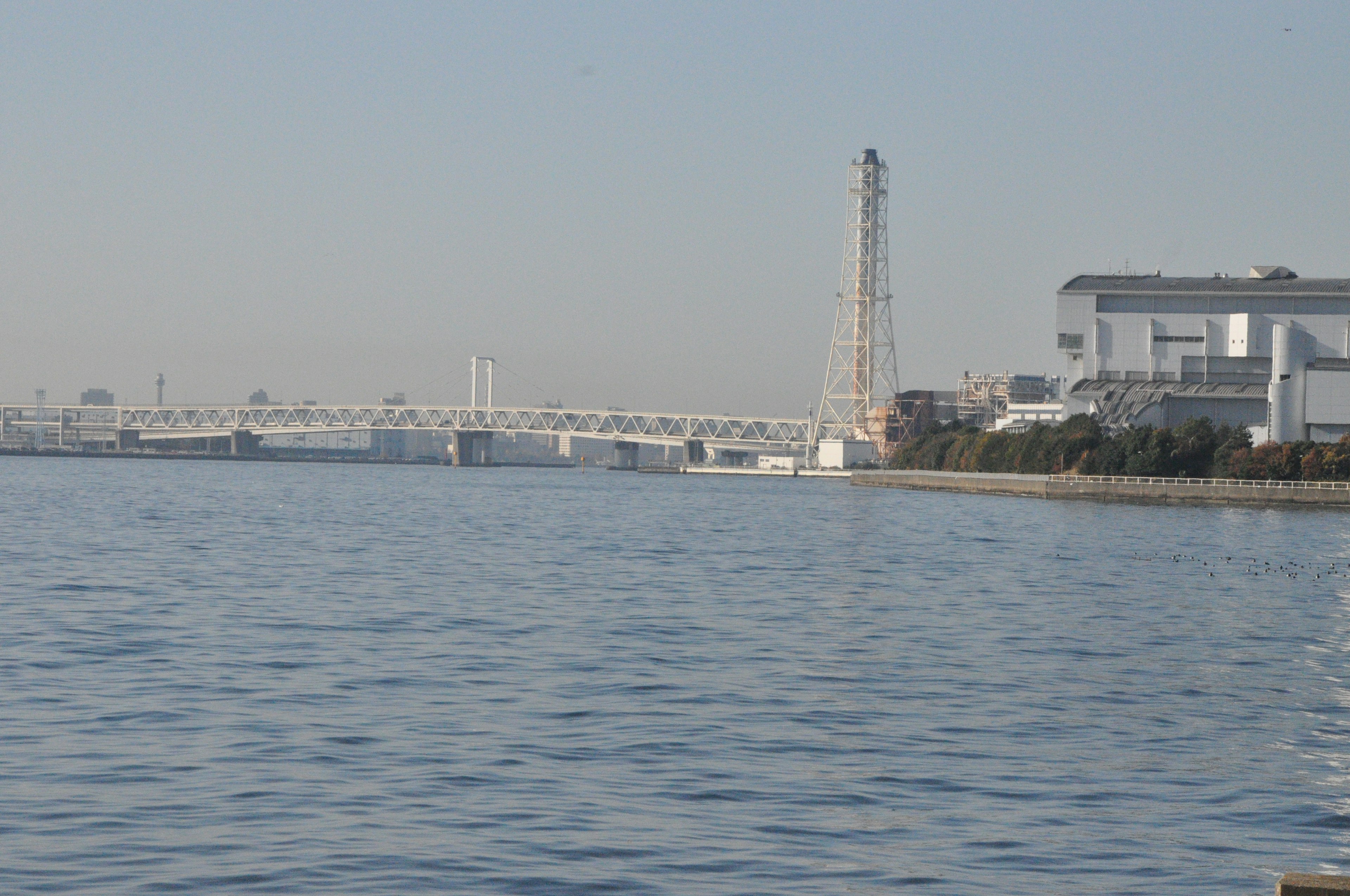 海と橋を背景にした工業風景水面に映る建物とクレーン