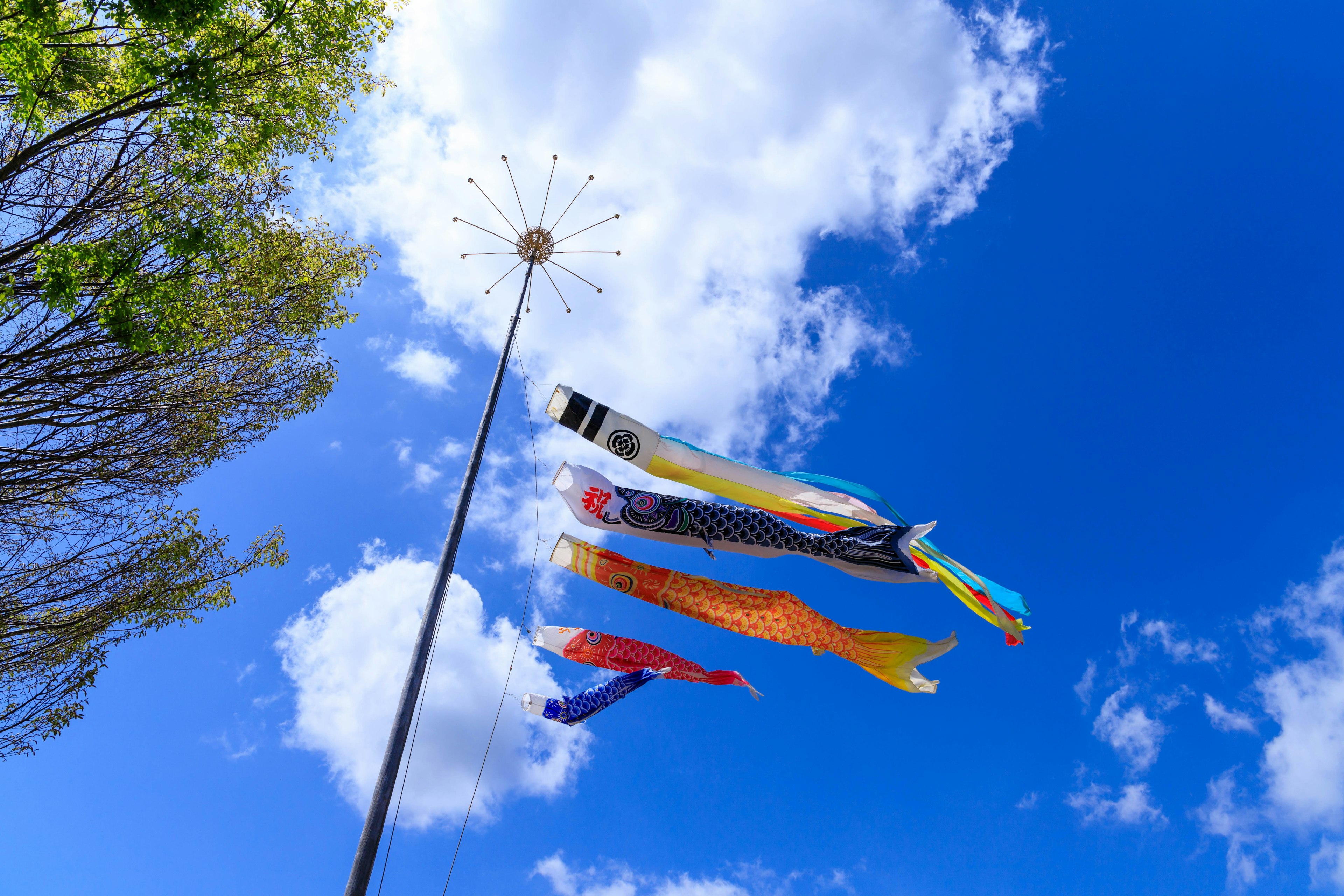 Bunte Koi-Flaggen wehen gegen einen blauen Himmel