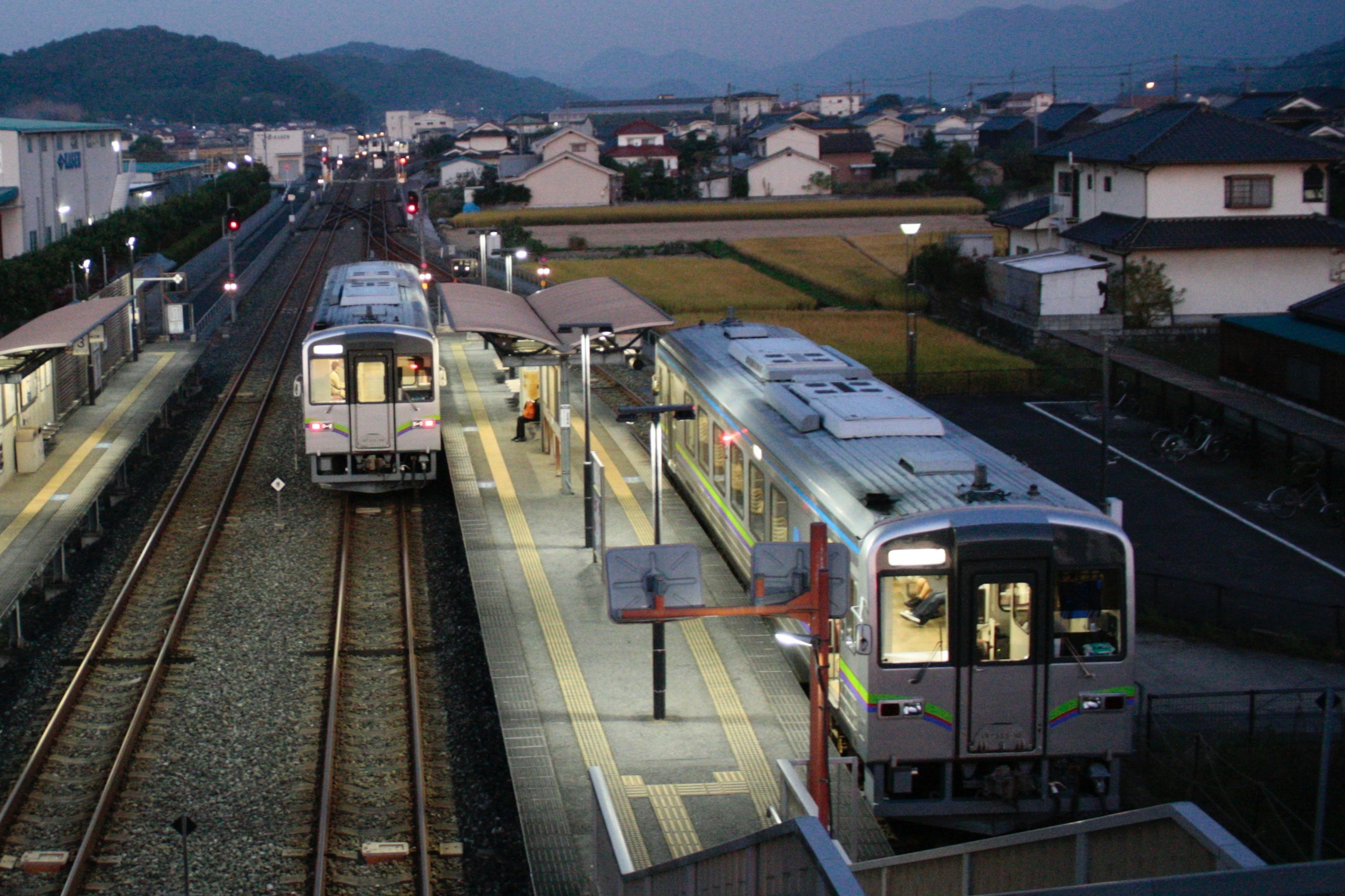 Trains at a station during twilight with nearby residential area