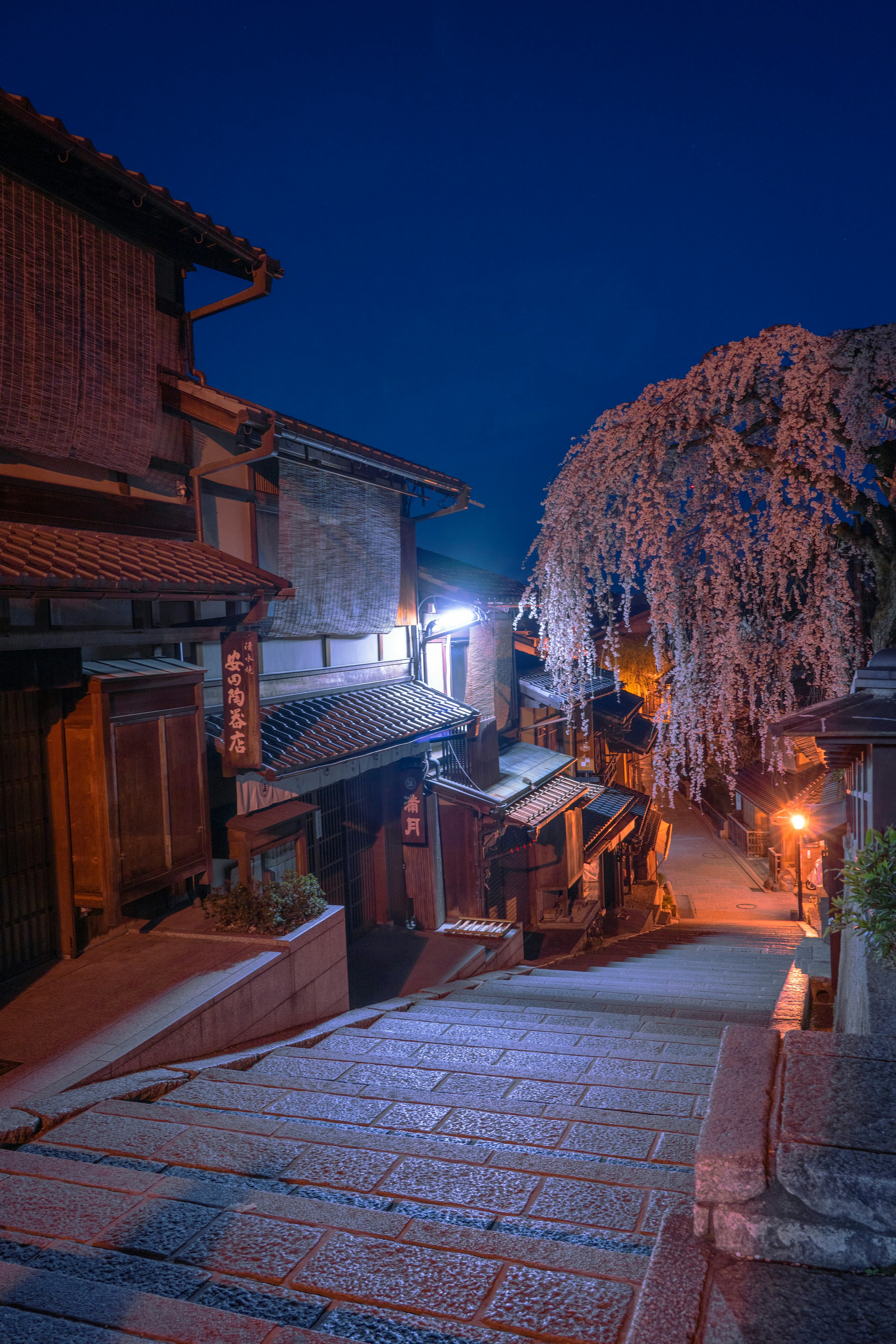 Vue nocturne d'une rue historique avec un cerisier