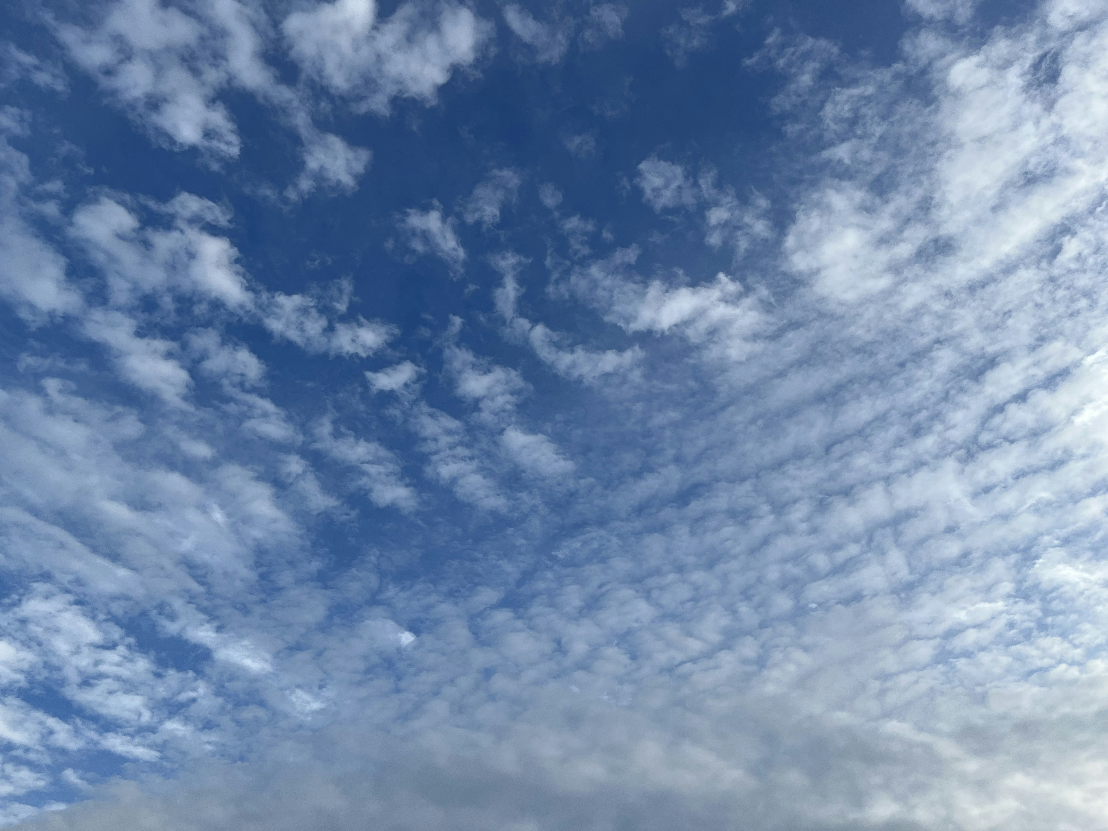 Pattern of white clouds in a blue sky