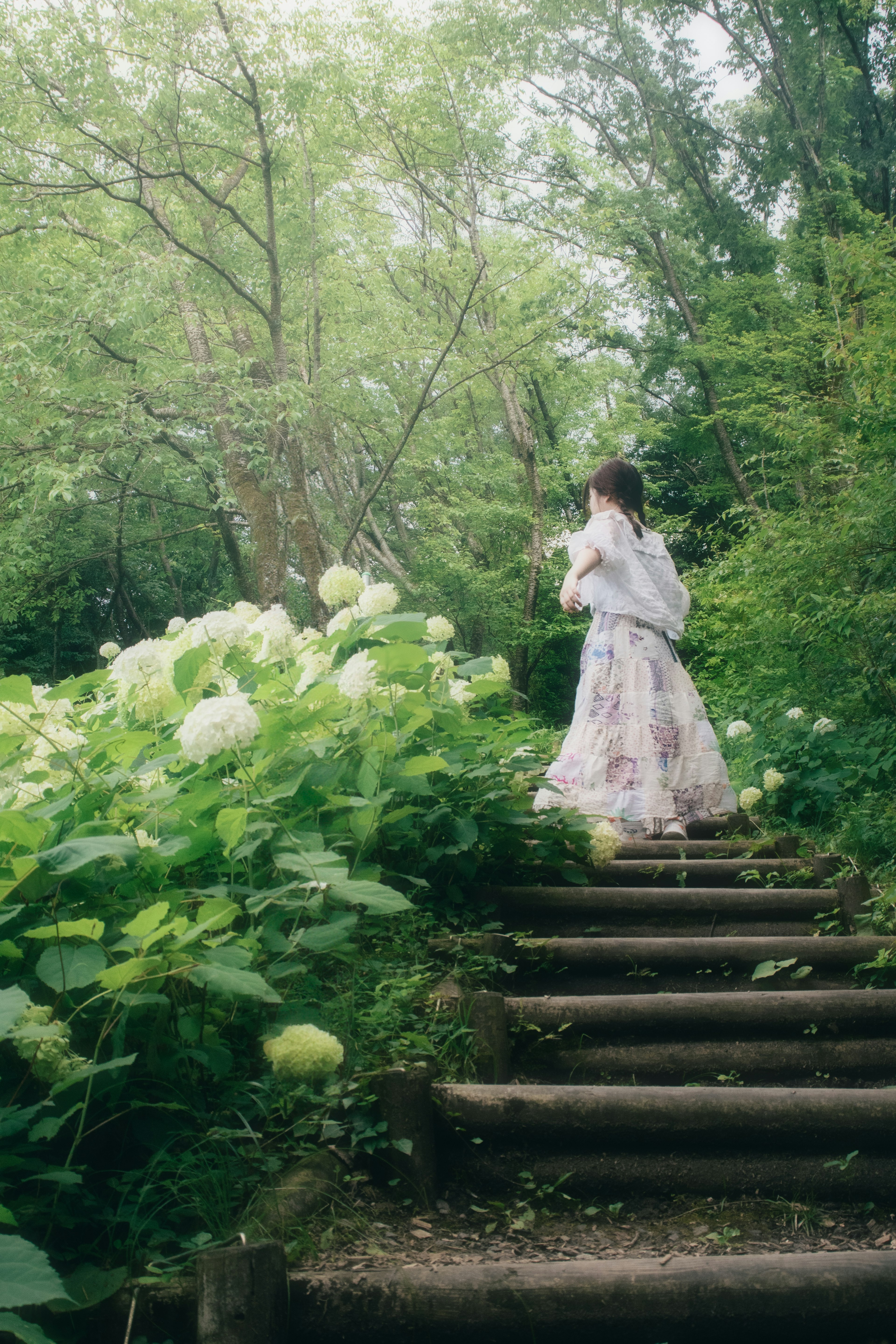 花に囲まれた階段を上る女性の後姿