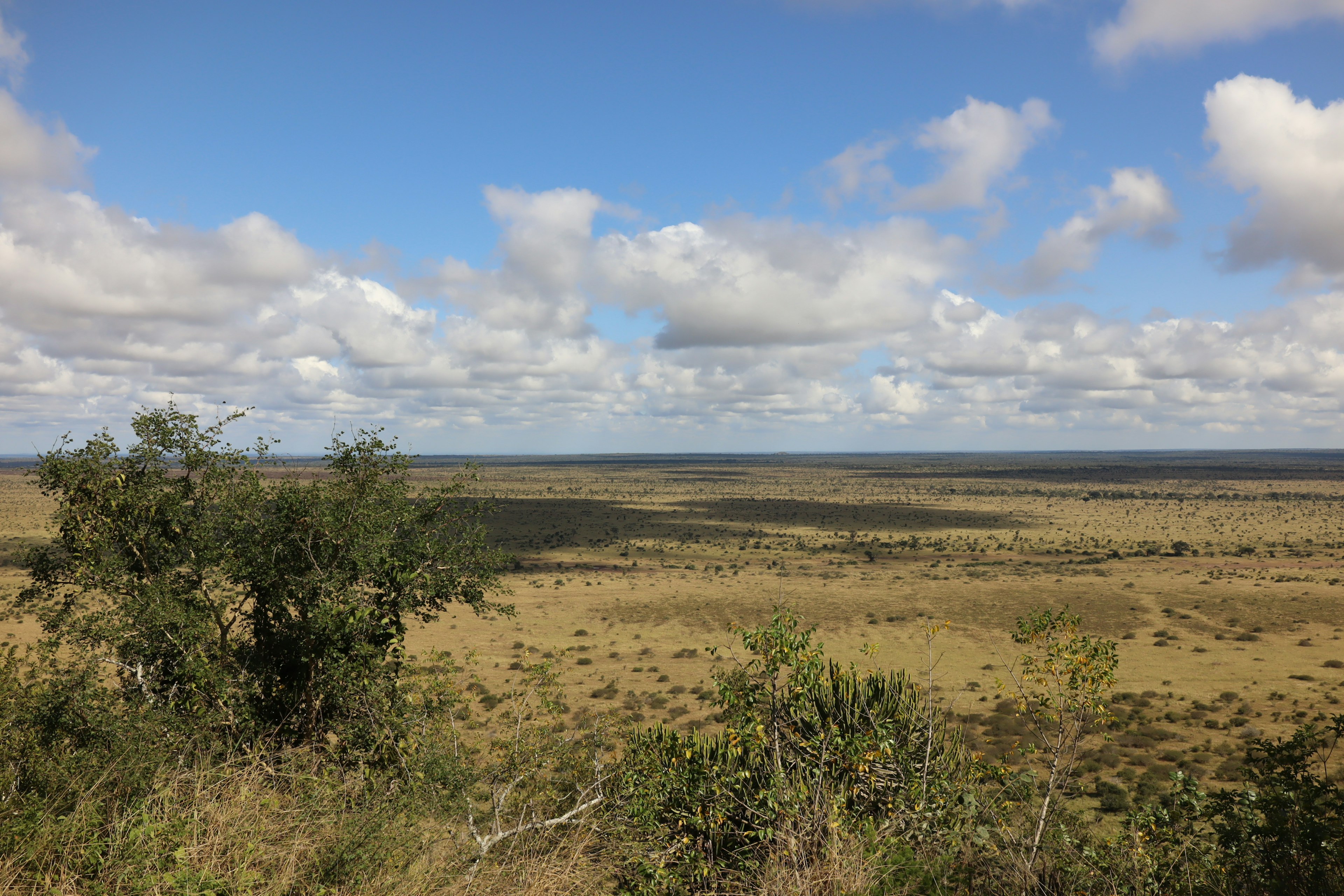 Weite Graslandschaft mit klarem blauen Himmel