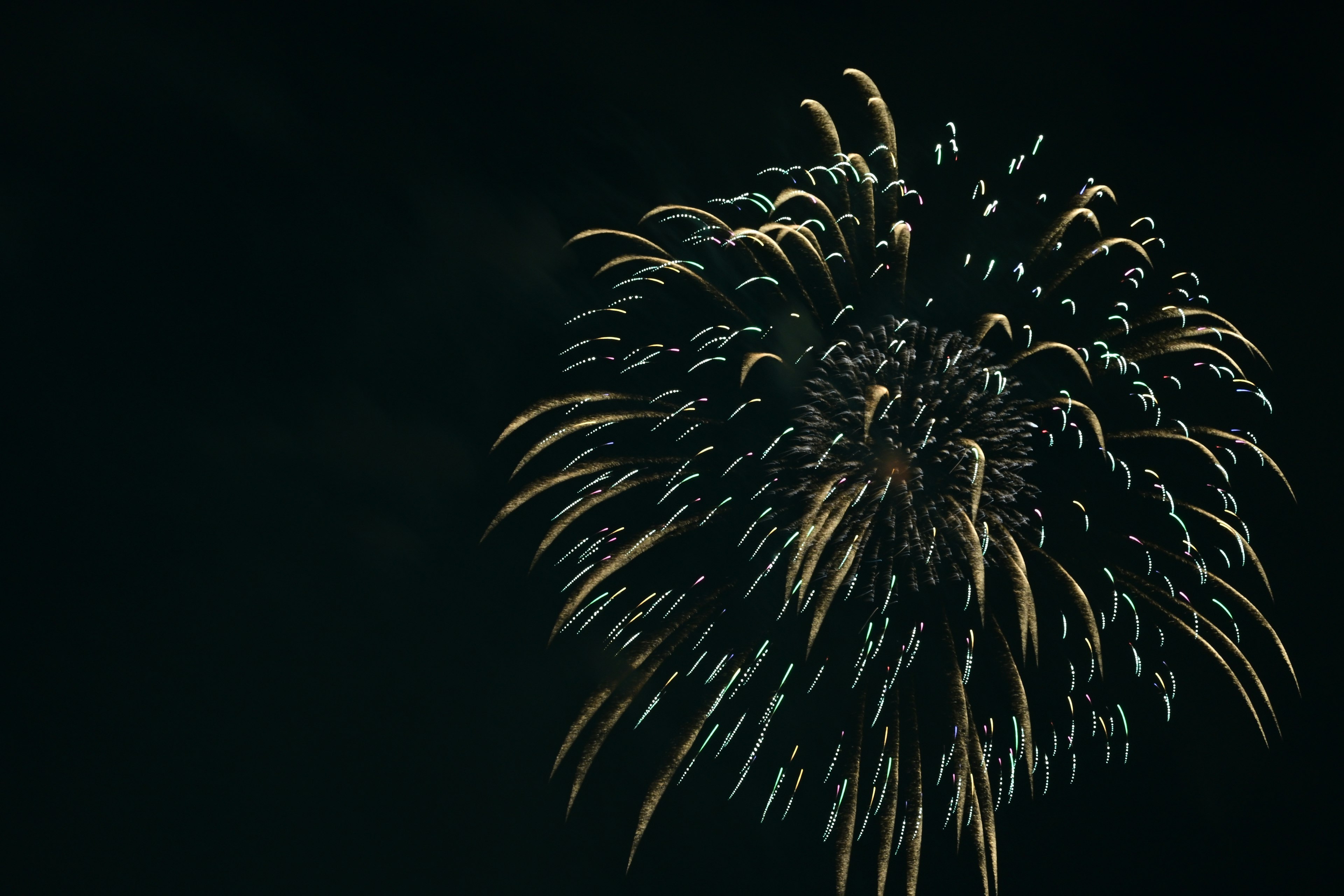 Bellissimo motivo di fuochi d'artificio nel cielo notturno