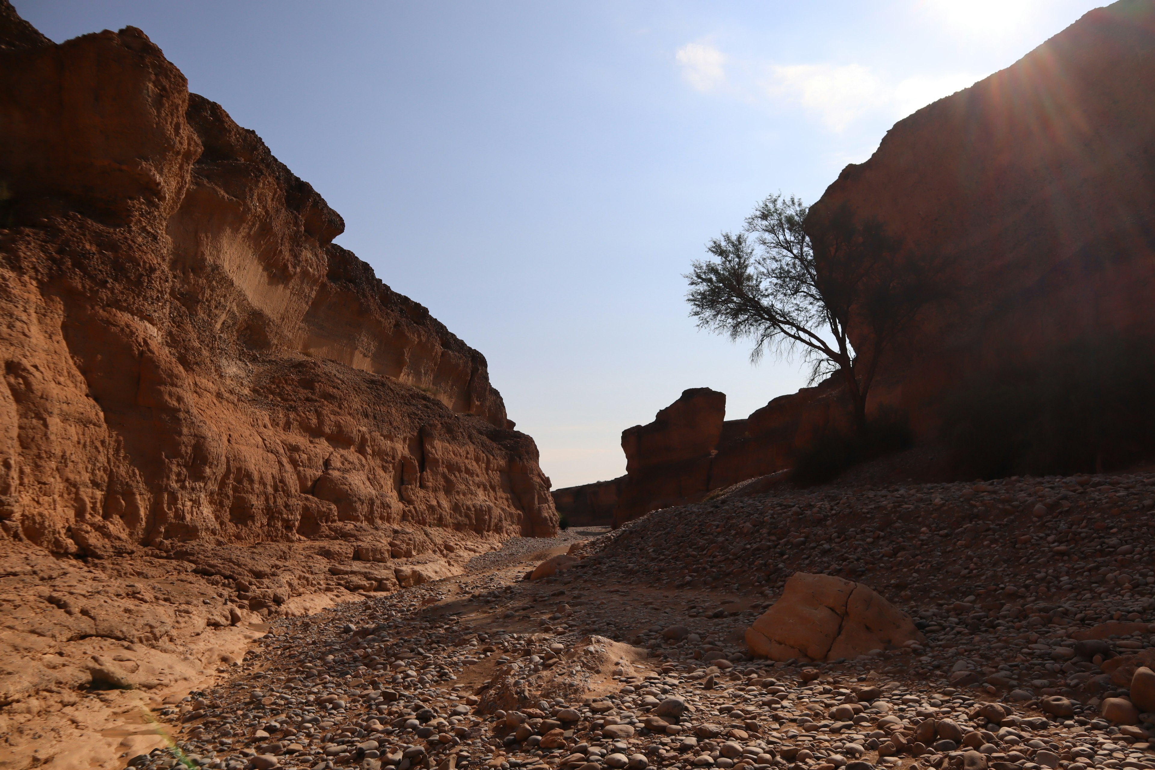 Engpasslandschaft umgeben von rötlichen Klippen trockener Boden und ein einsamer Baum