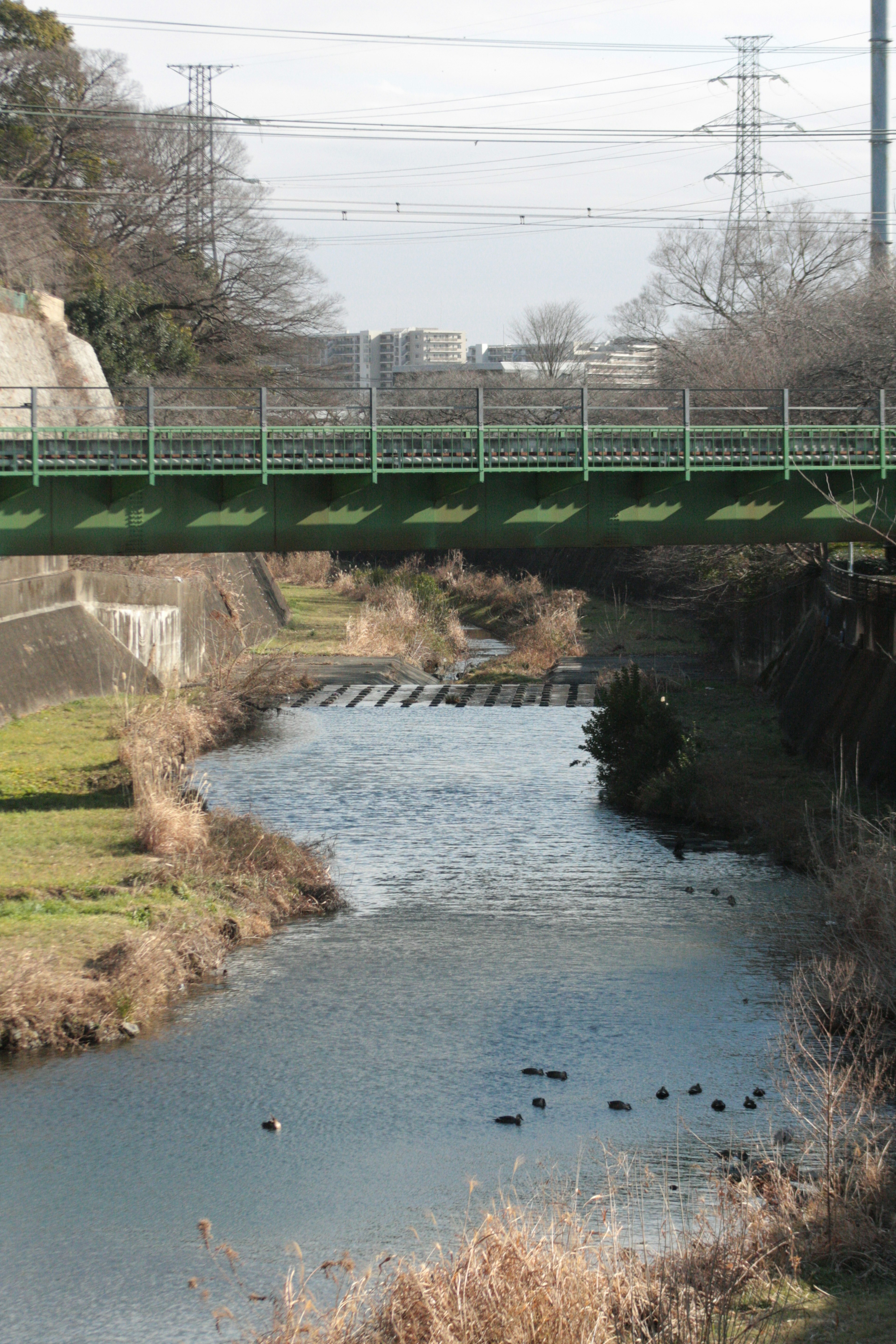 Pont vert au-dessus d'un ruisseau avec des herbes sèches et des lignes électriques