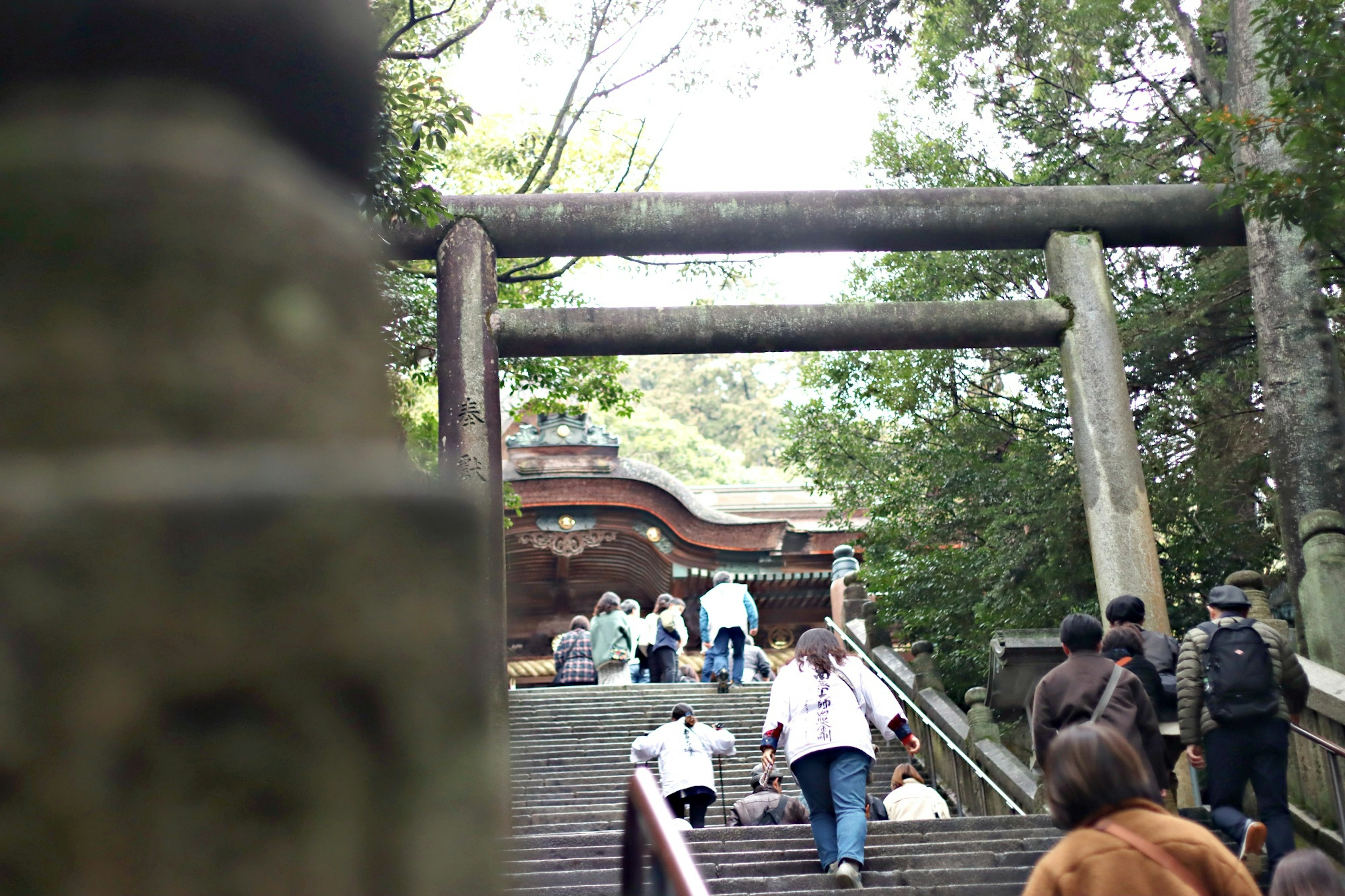 People climbing stairs with a torii gate in the background