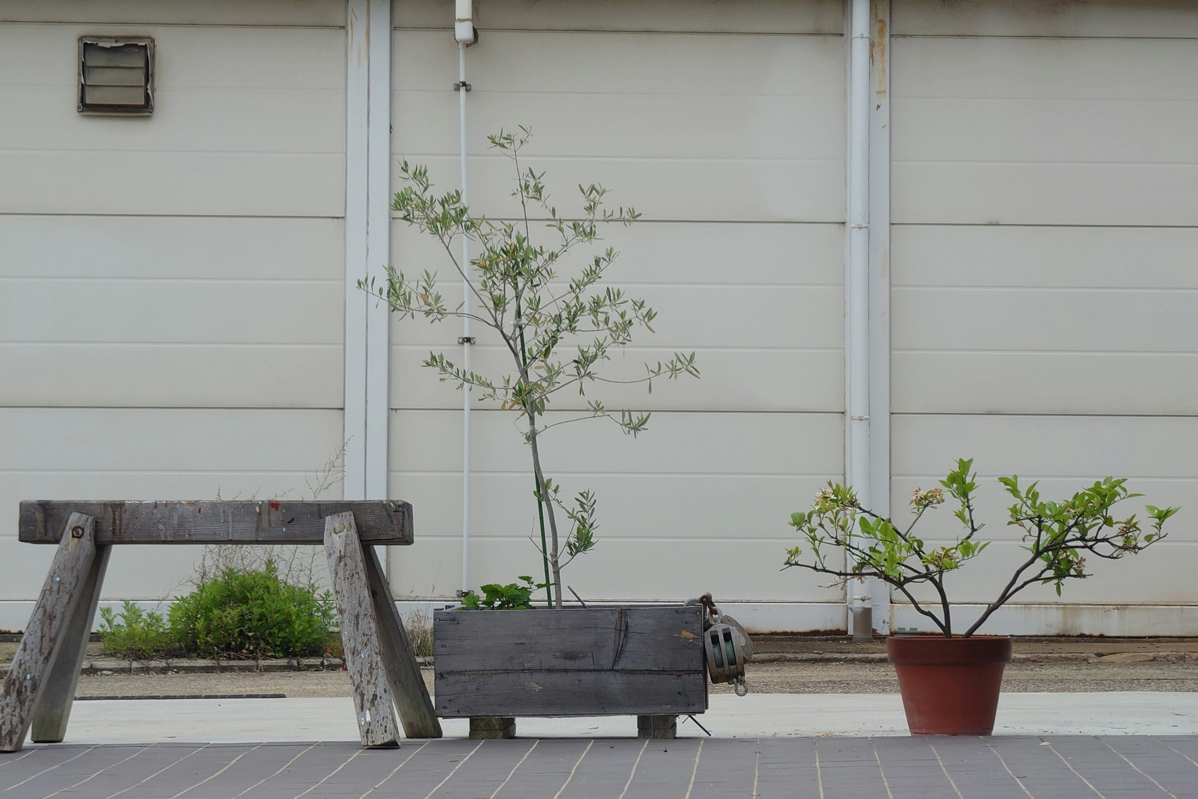 A wooden bench next to potted plants in a simple outdoor setting