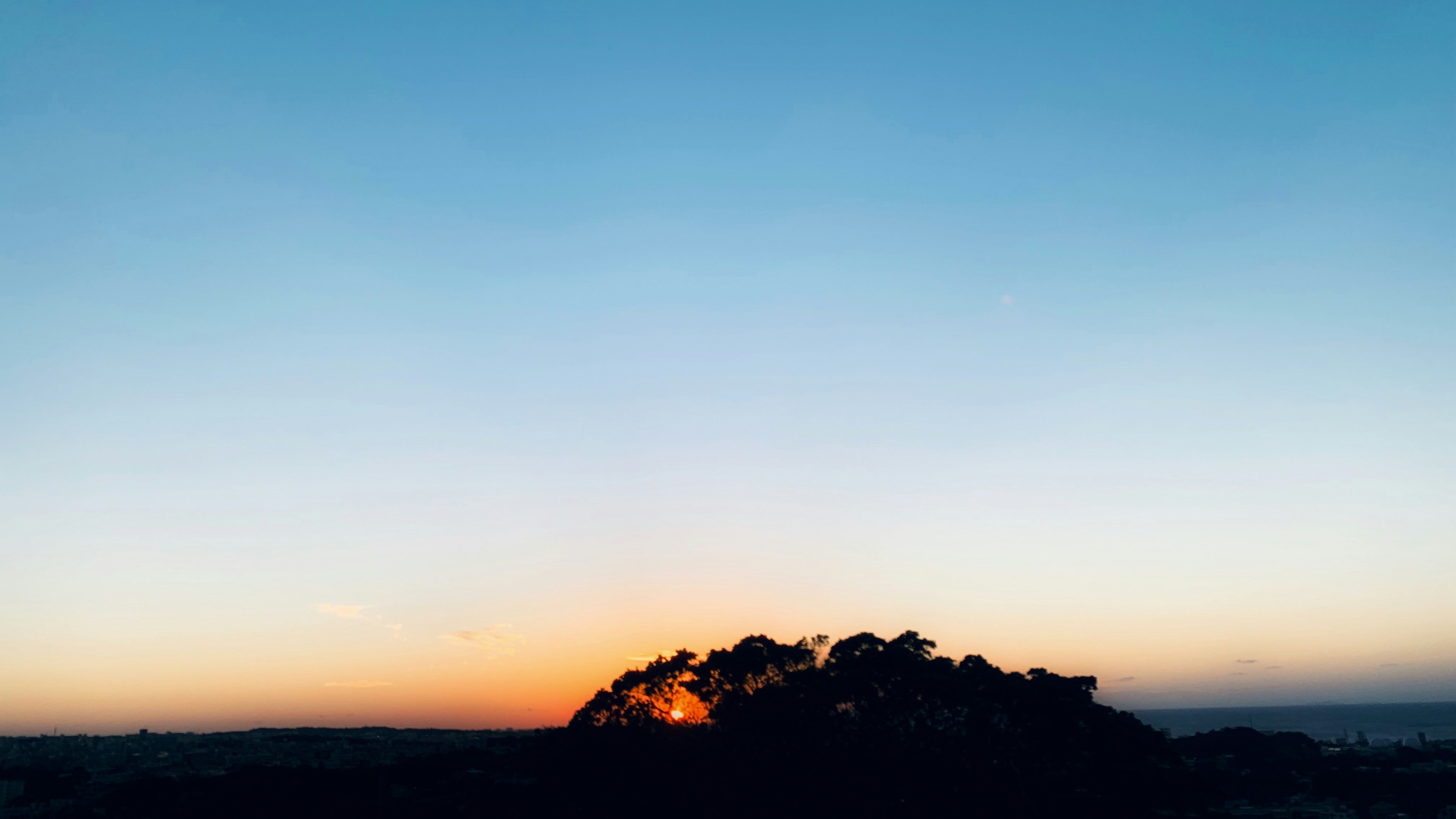 Cielo al tramonto con alberi in silhouette