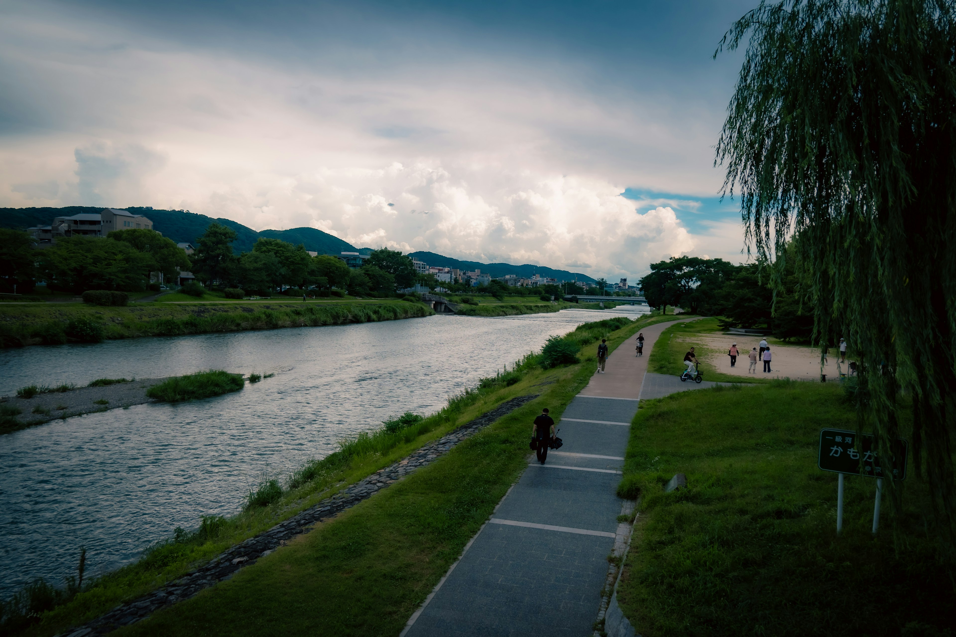 Paisaje sereno junto al río con hierba verde y camino peatonal