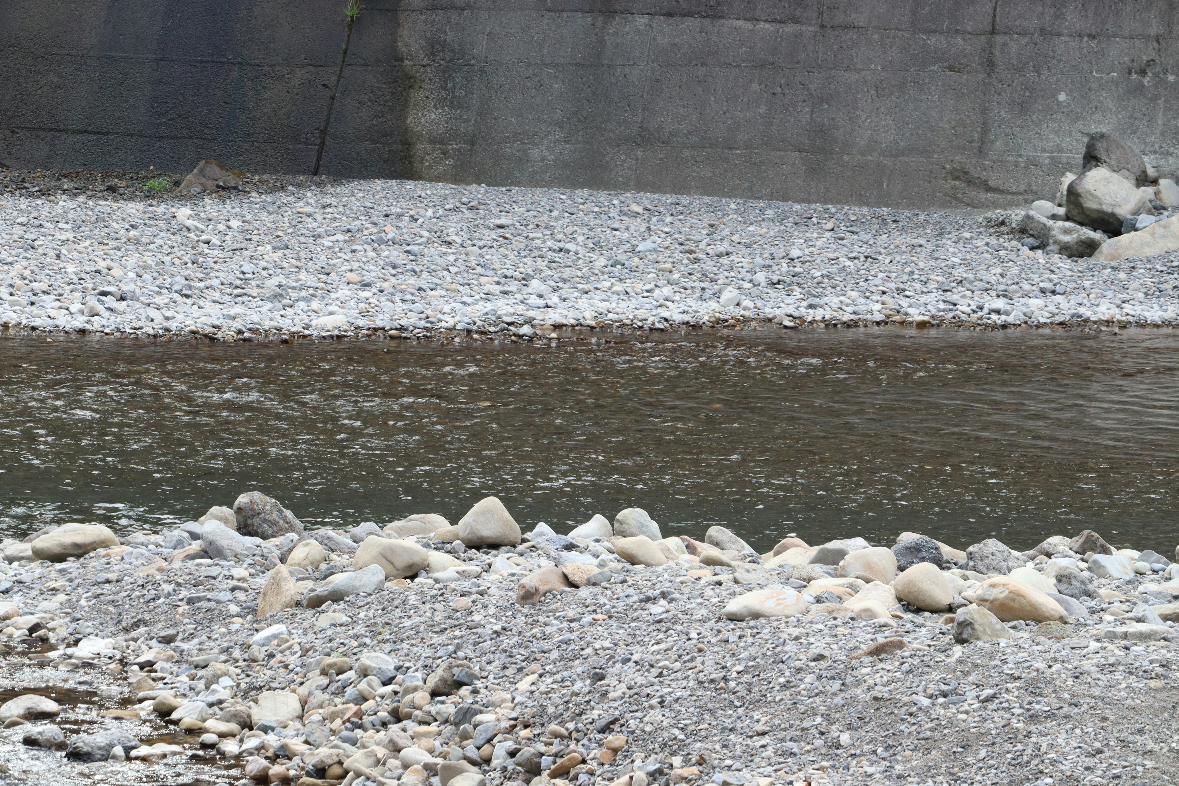 A riverbed with scattered pebbles and a rocky background