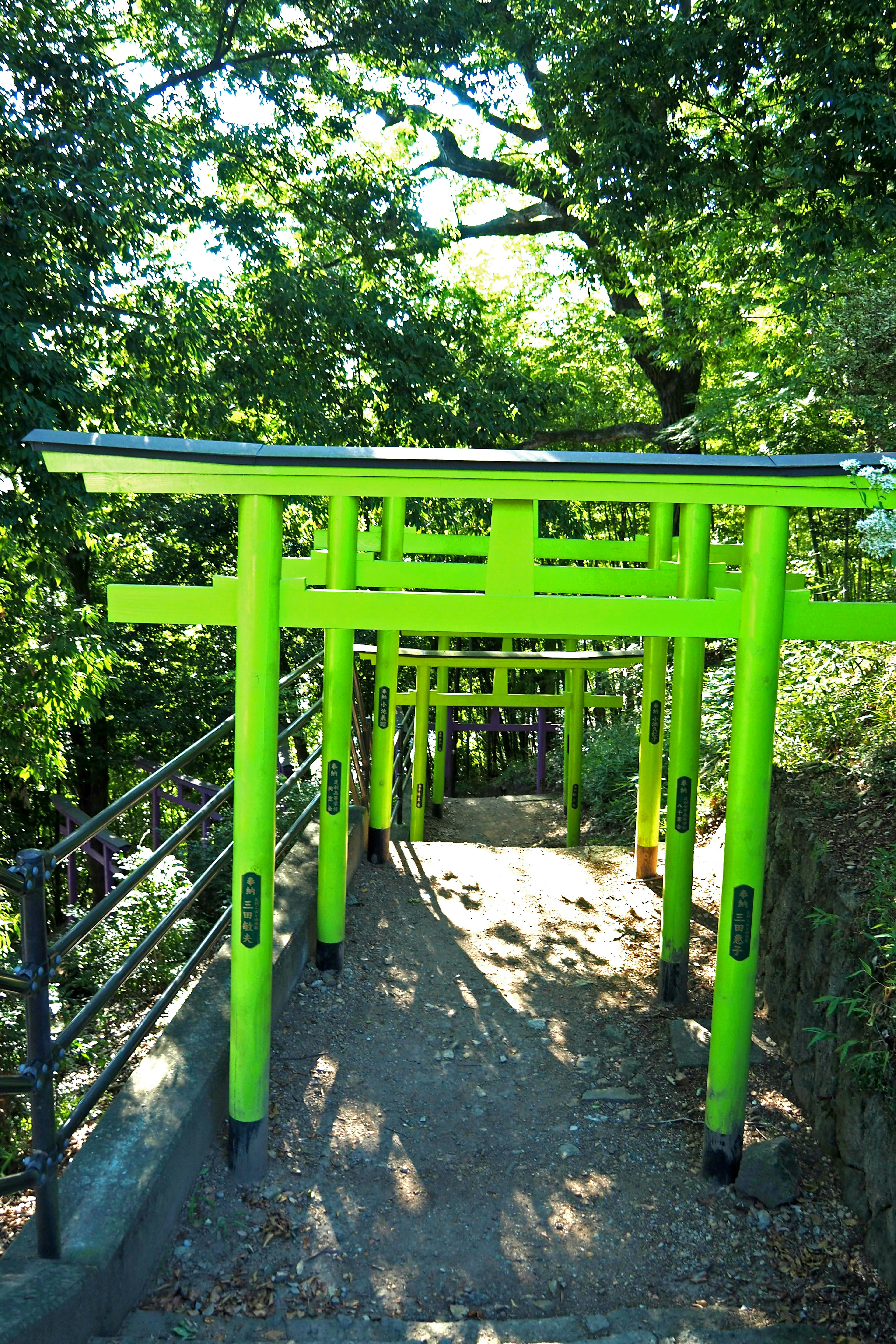 Pathway lined with vibrant green torii gates surrounded by lush greenery