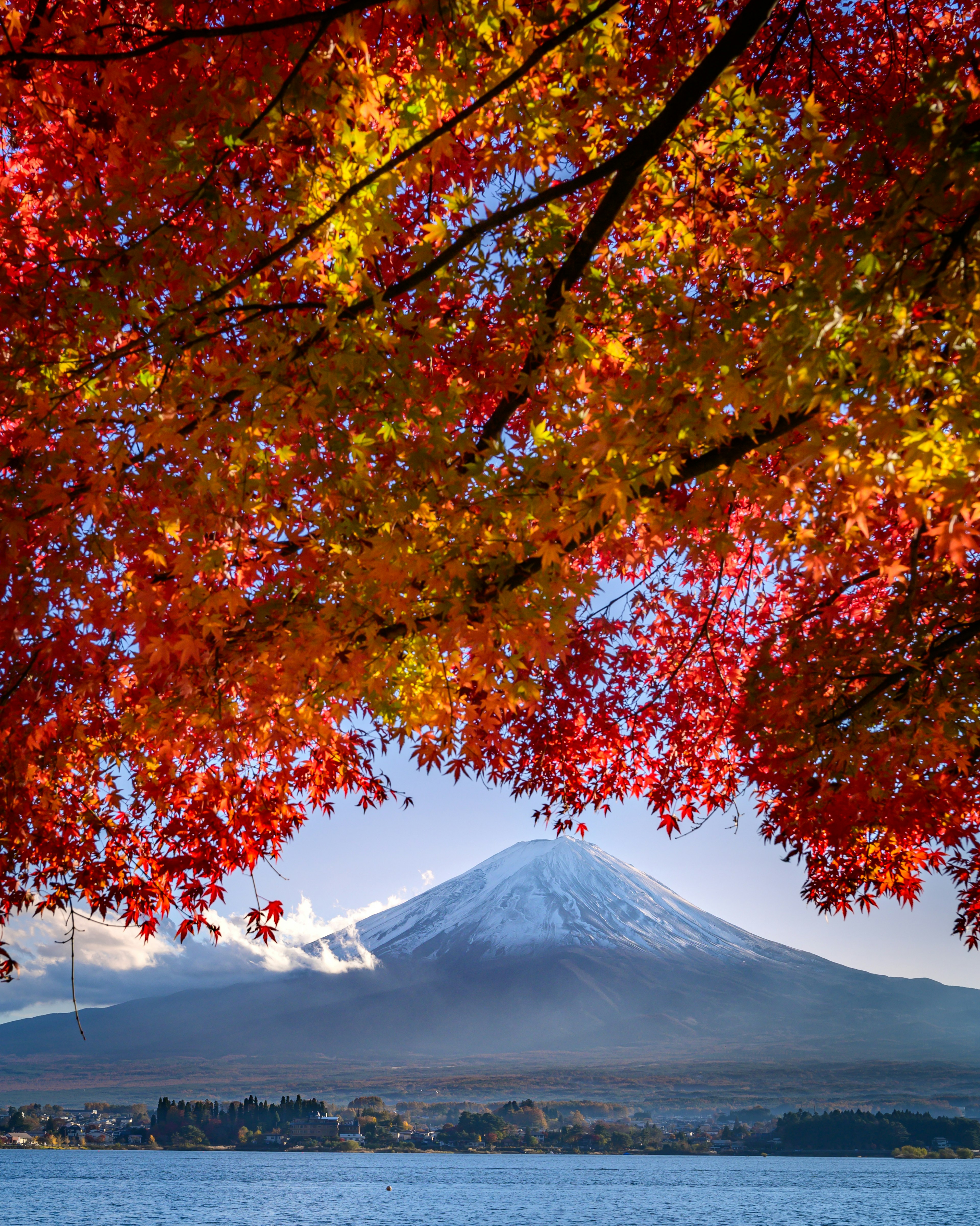 紅葉に囲まれた富士山の美しい風景