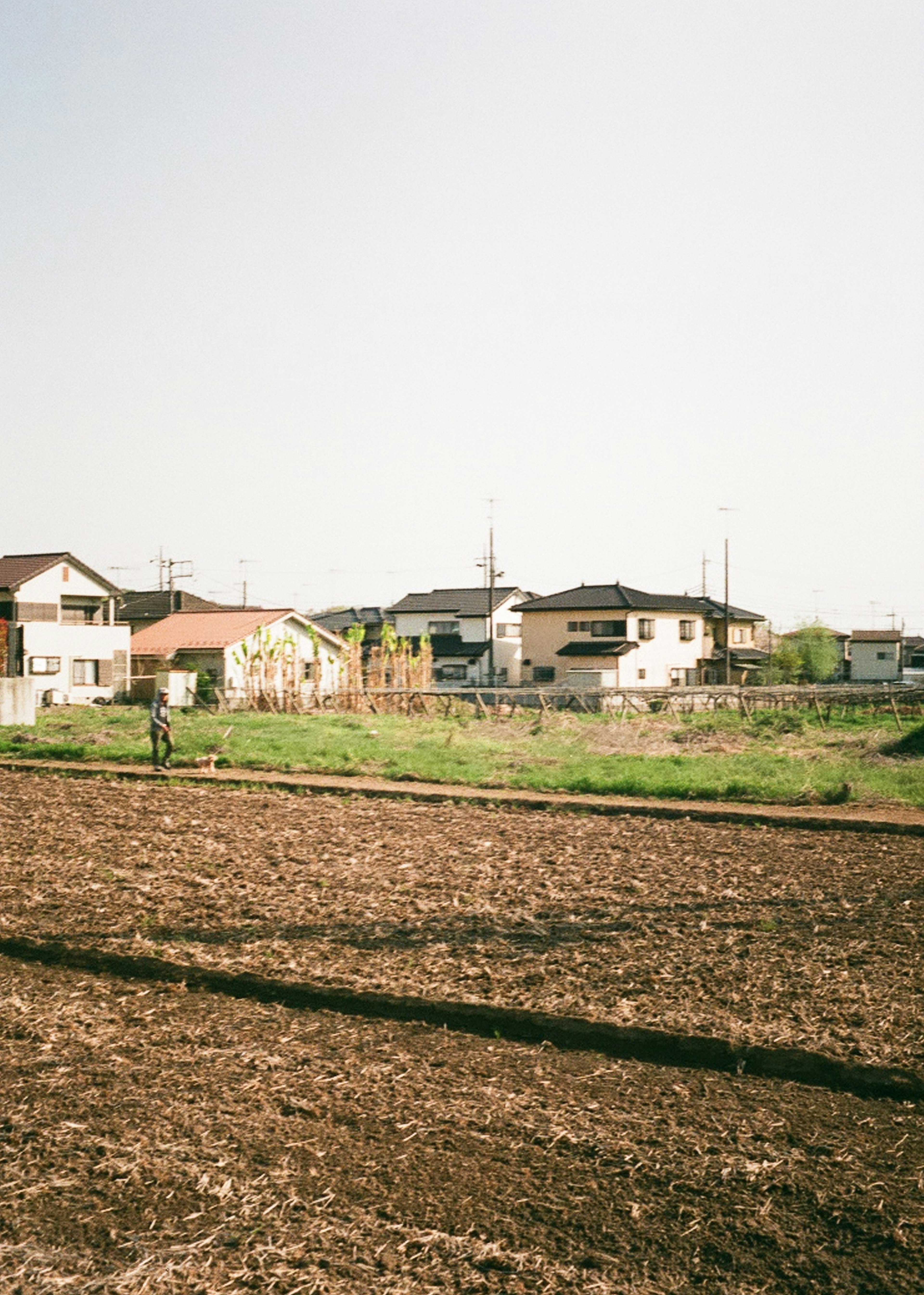 住宅街と農地の風景の写真