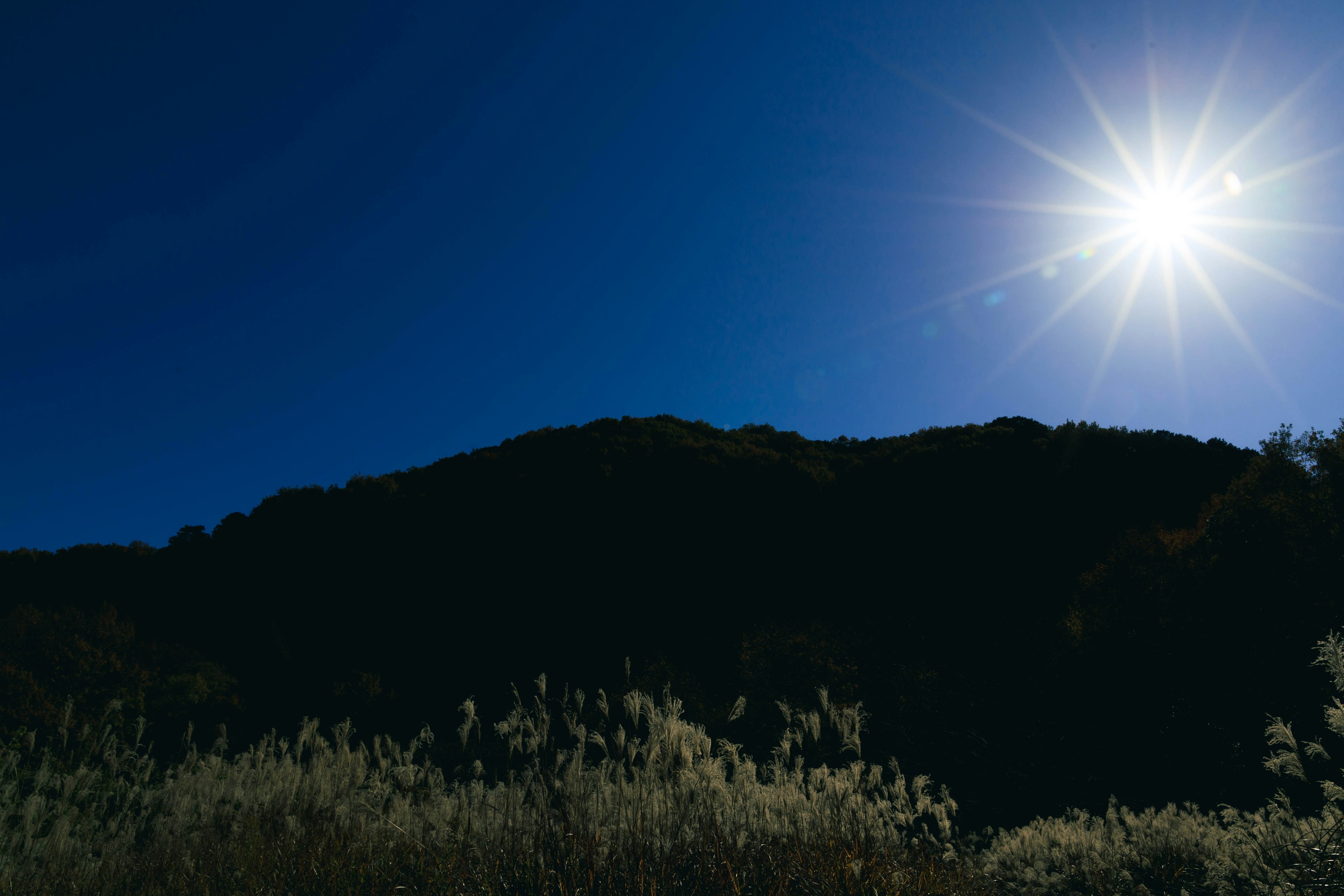 Silueta de una montaña contra un cielo azul con un sol radiante y un primer plano de hierba