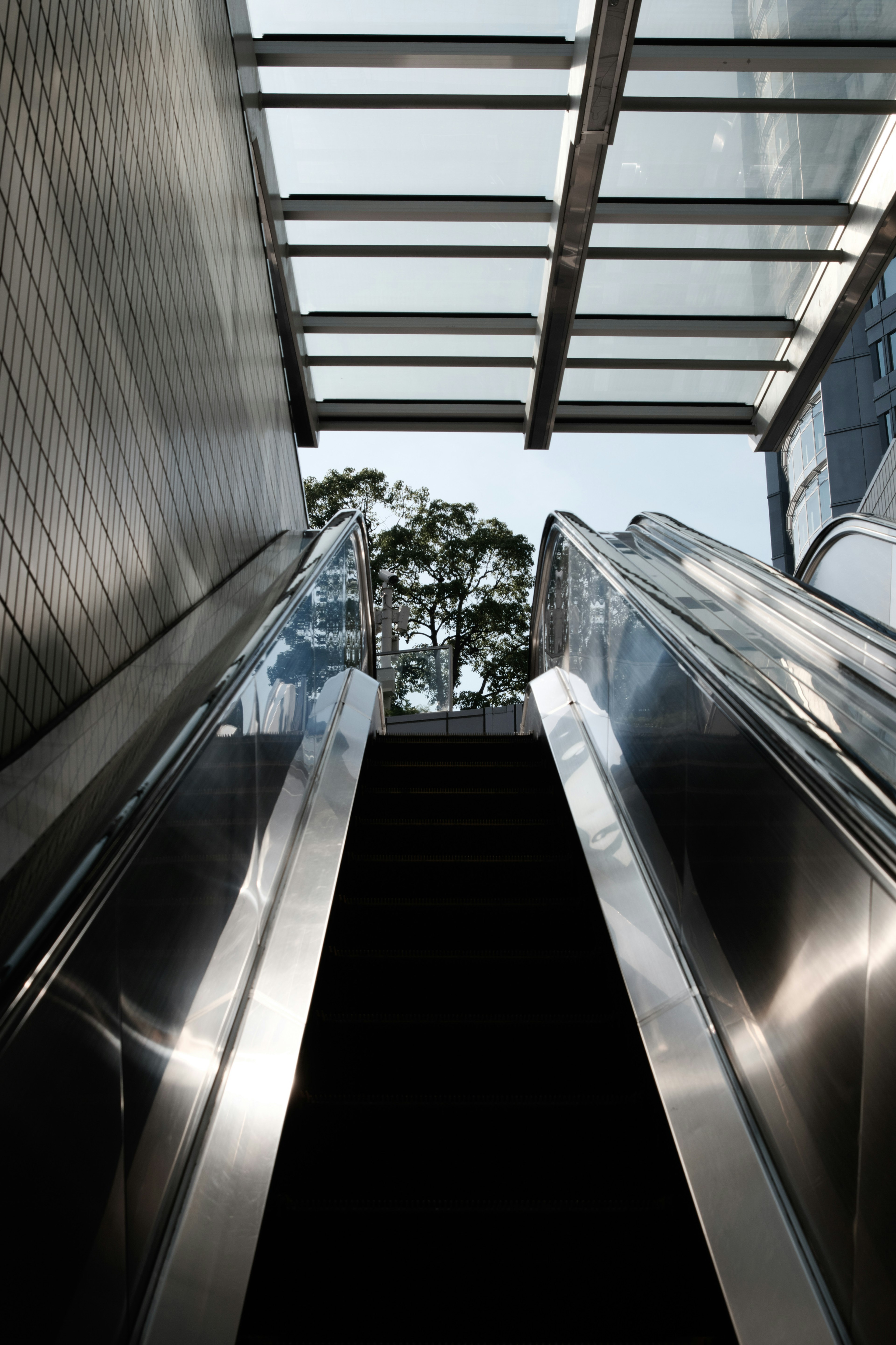 Blick nach oben auf eine Rolltreppe mit Glasdecke und sichtbaren Bäumen draußen