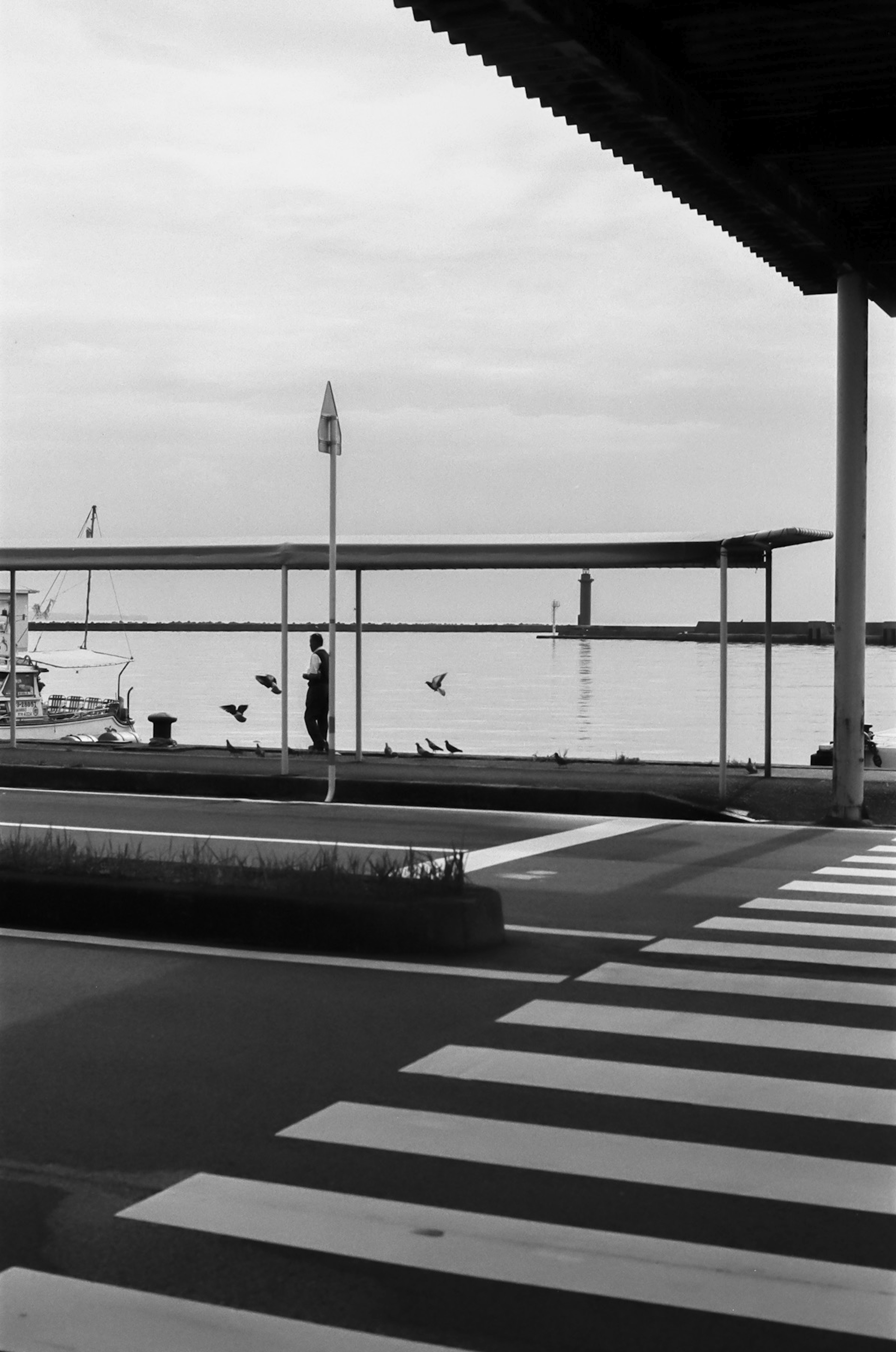 Schwarz-weiß-Szene mit einem Gehweg am Wasser und der Silhouette einer Person