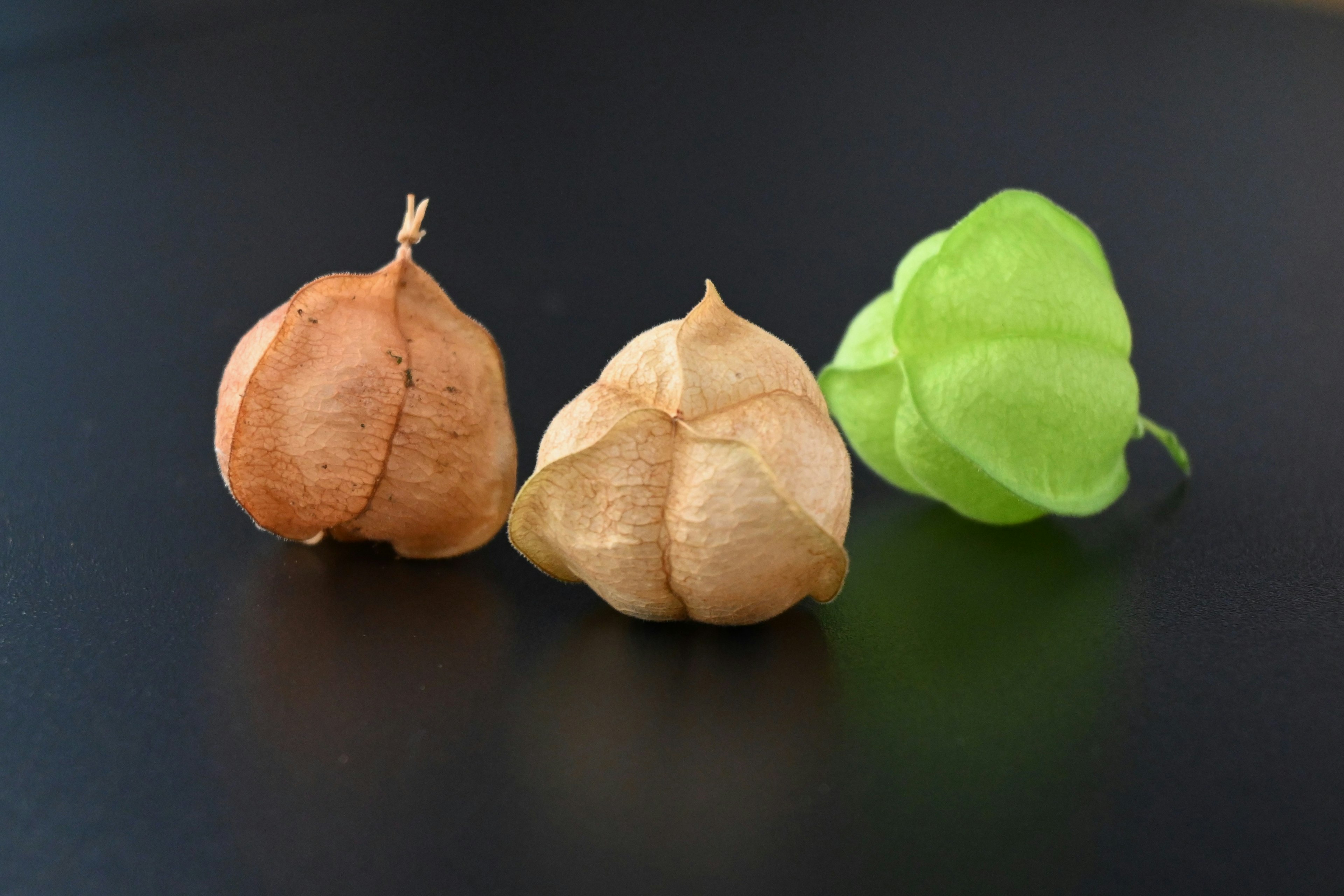 Three different colored fruits arranged on a black background