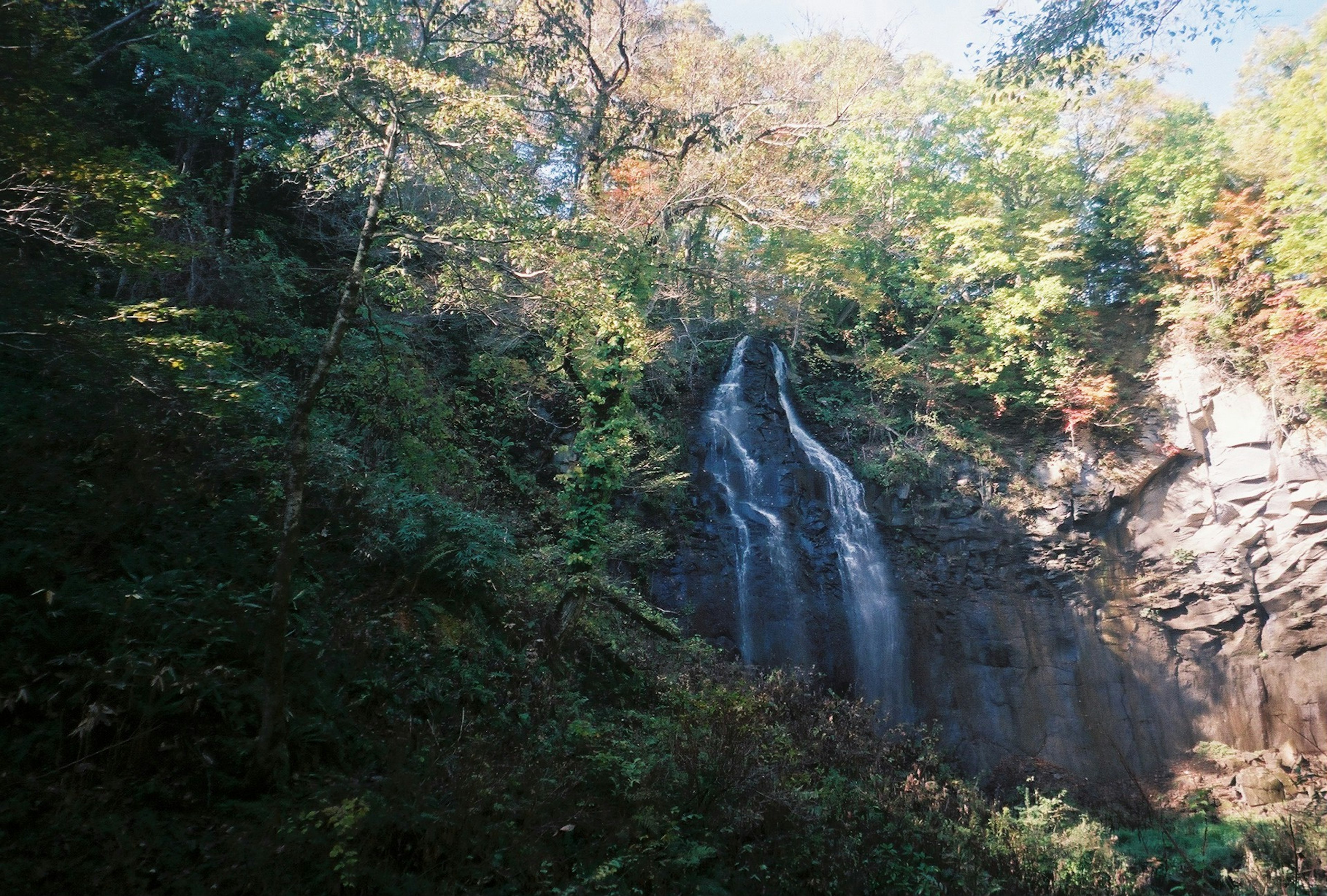 Sebuah air terjun yang indah mengalir melalui hutan hijau