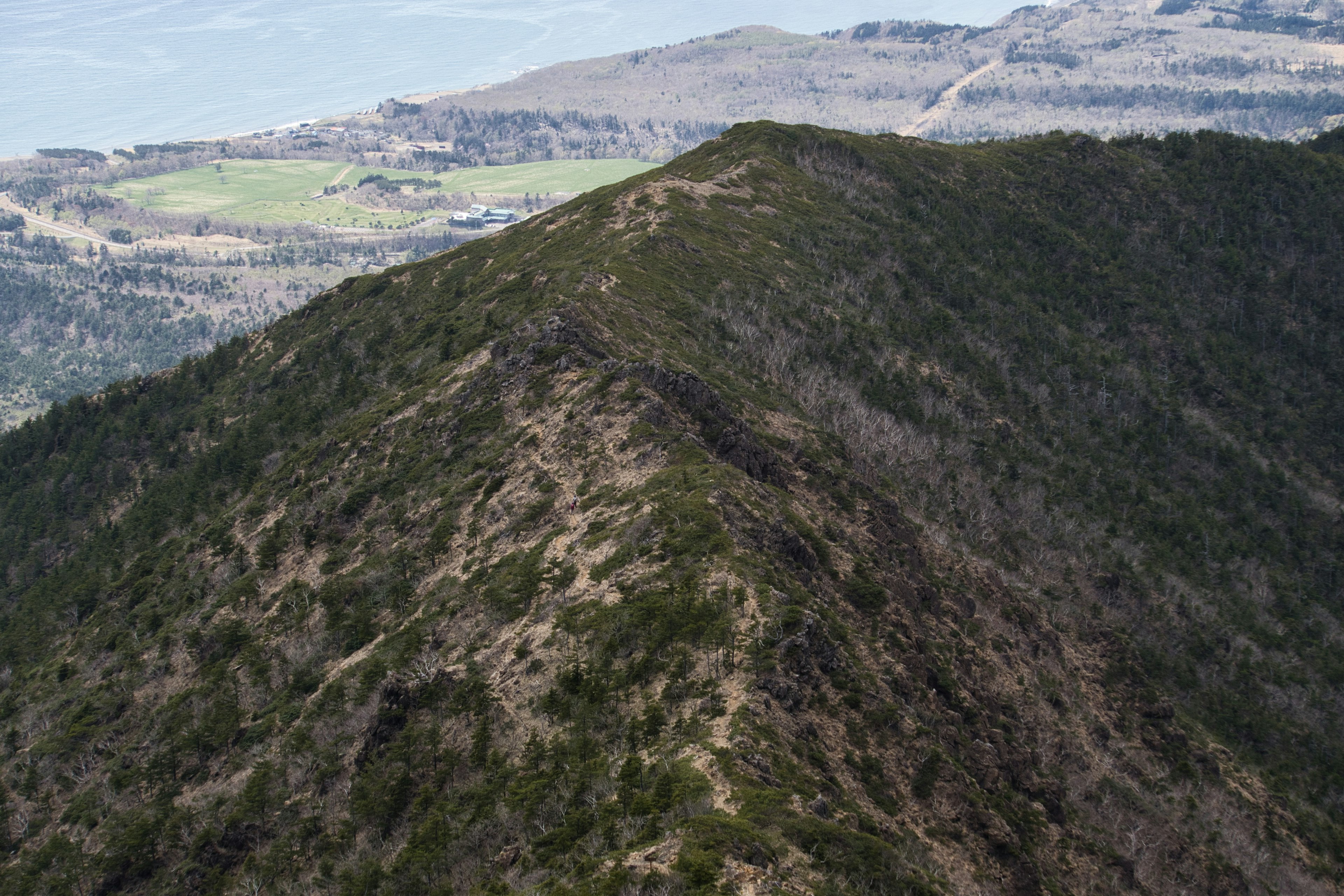 Bergkamm mit grüner Vegetation und Landschaft