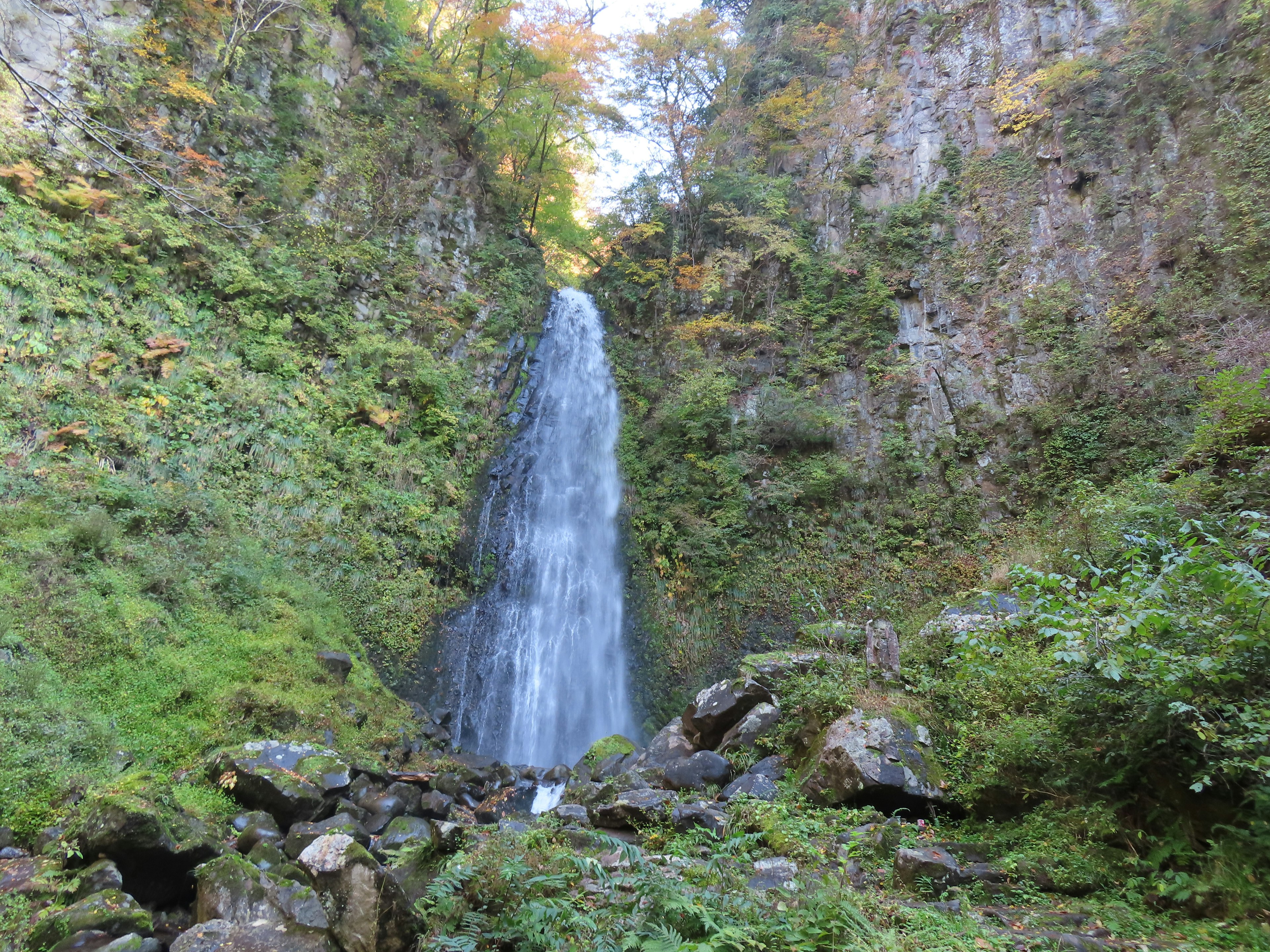 Hermosa cascada en un cañón verde