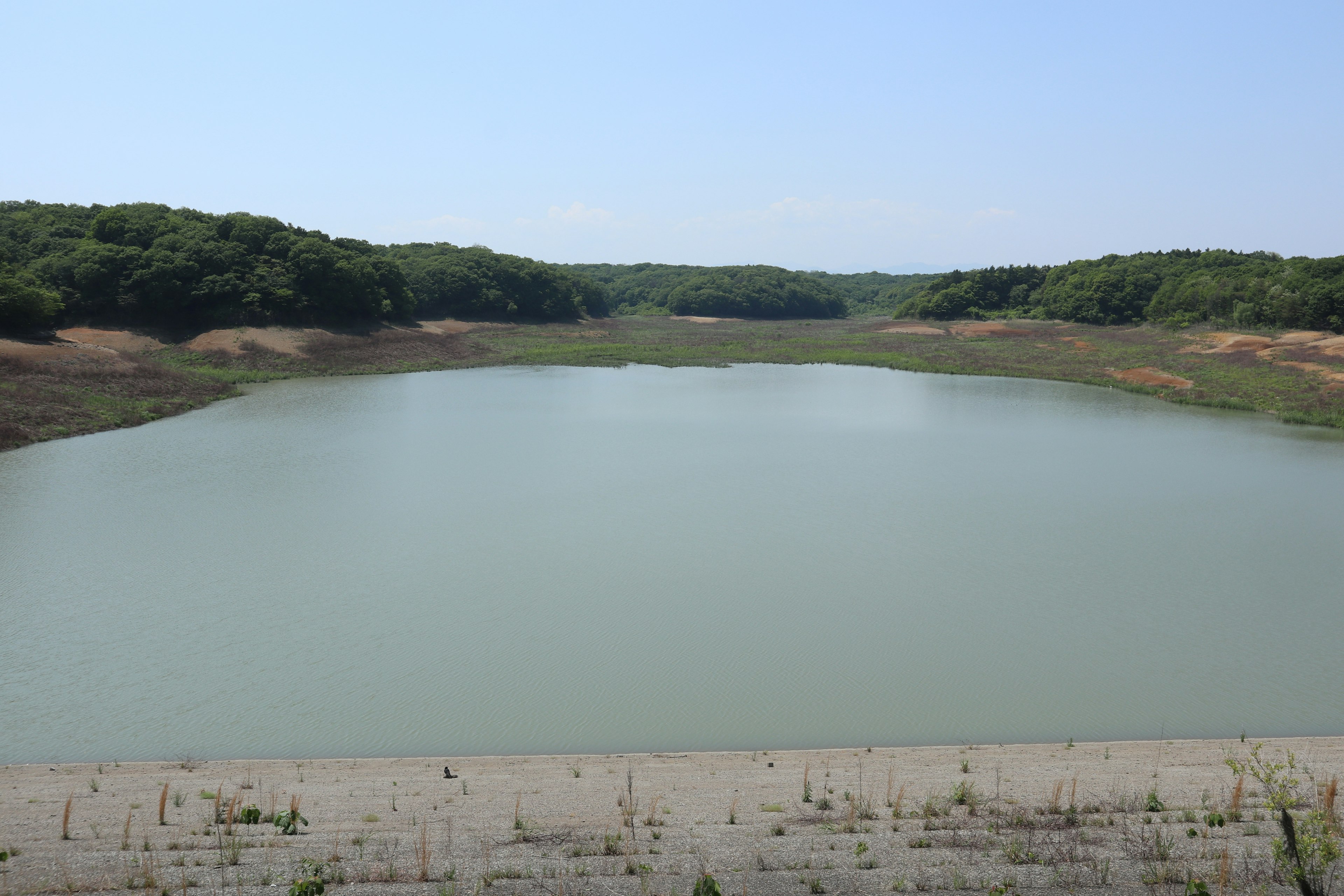 Ein ruhiger See umgeben von grünen Hügeln und einem klaren blauen Himmel