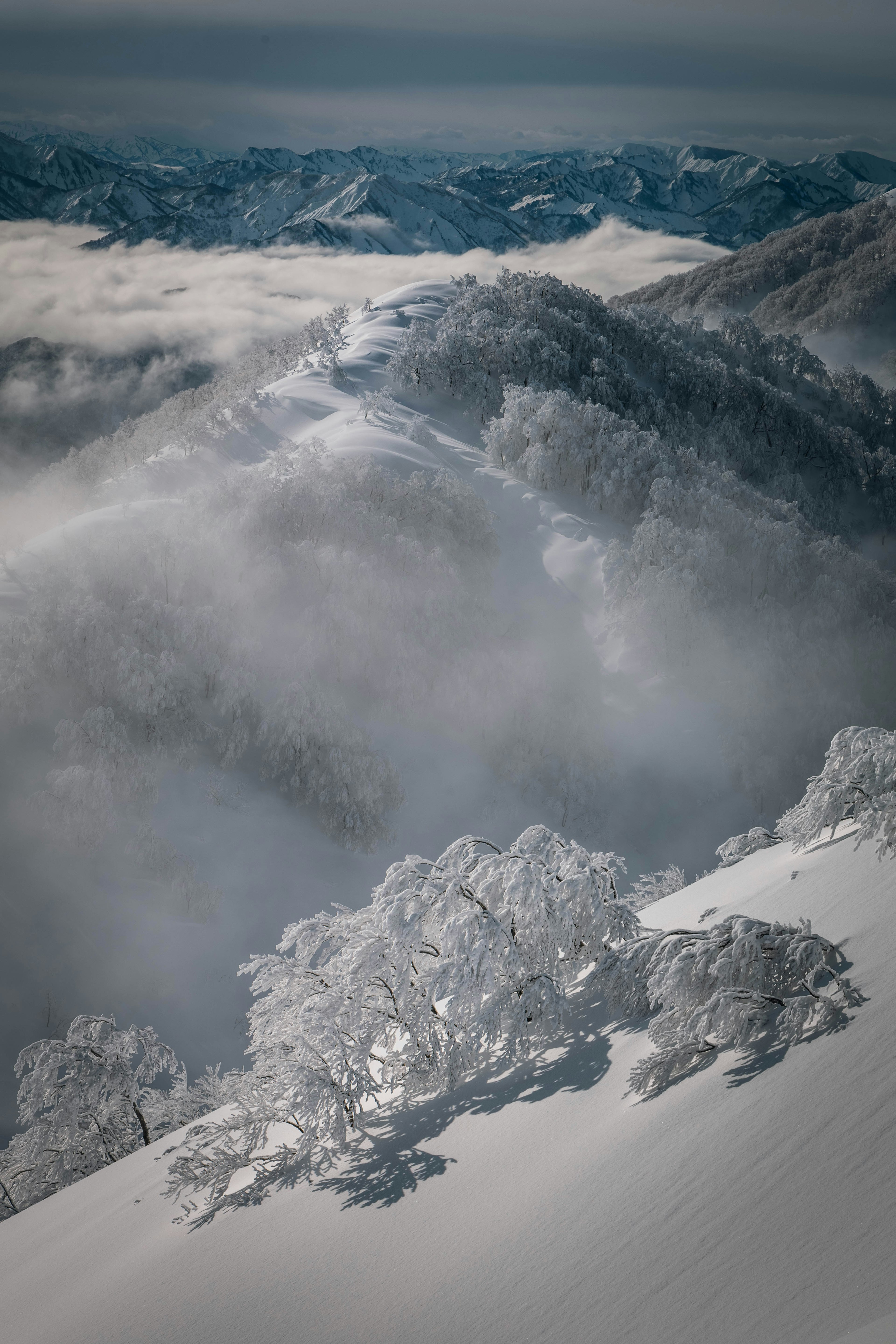 雪に覆われた山々と霧に包まれた風景