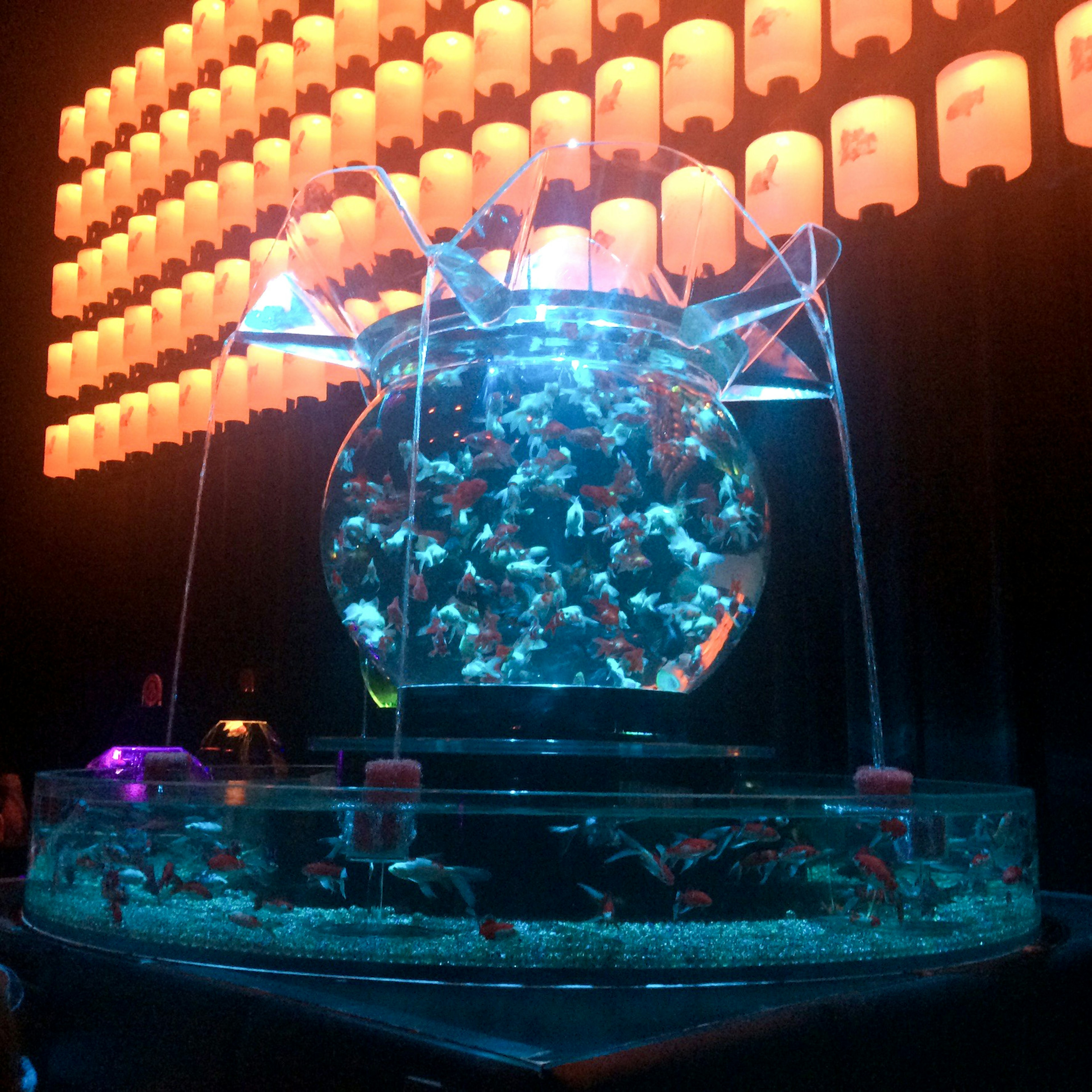 A glowing fishbowl with colorful fish swimming in a vibrant setting