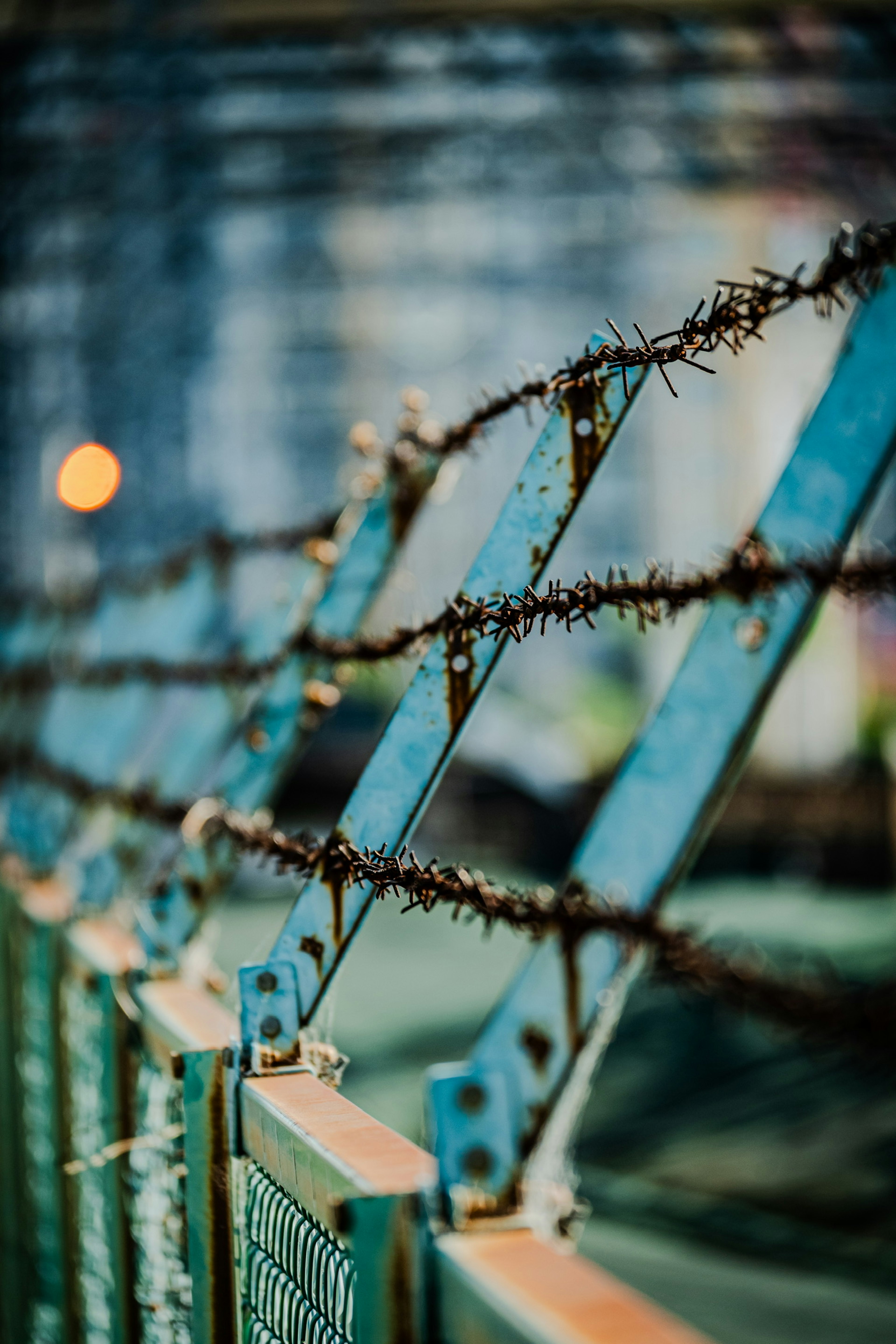 Close-up image of a blue fence with barbed wire