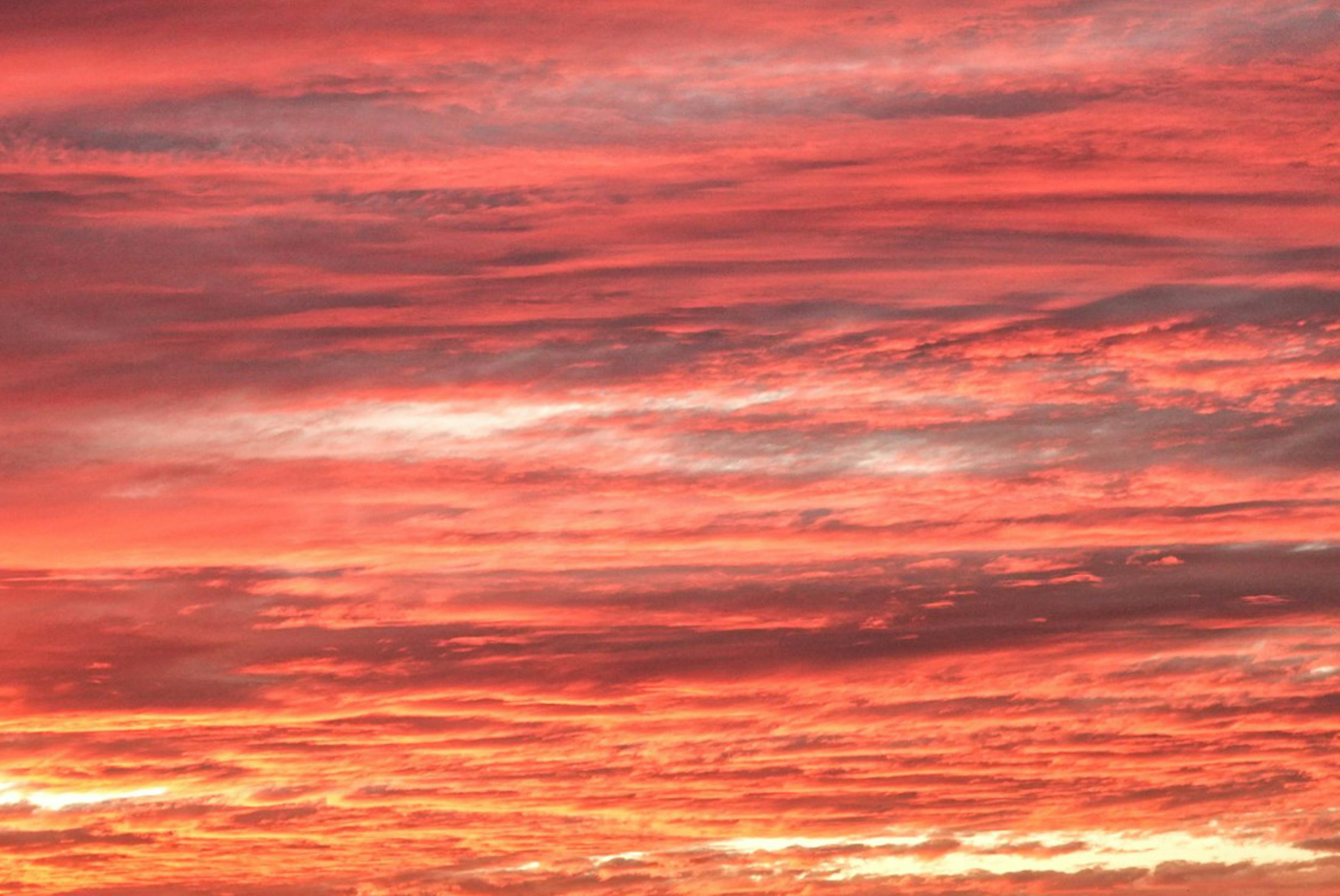 夕焼けの空に広がる赤とオレンジの雲