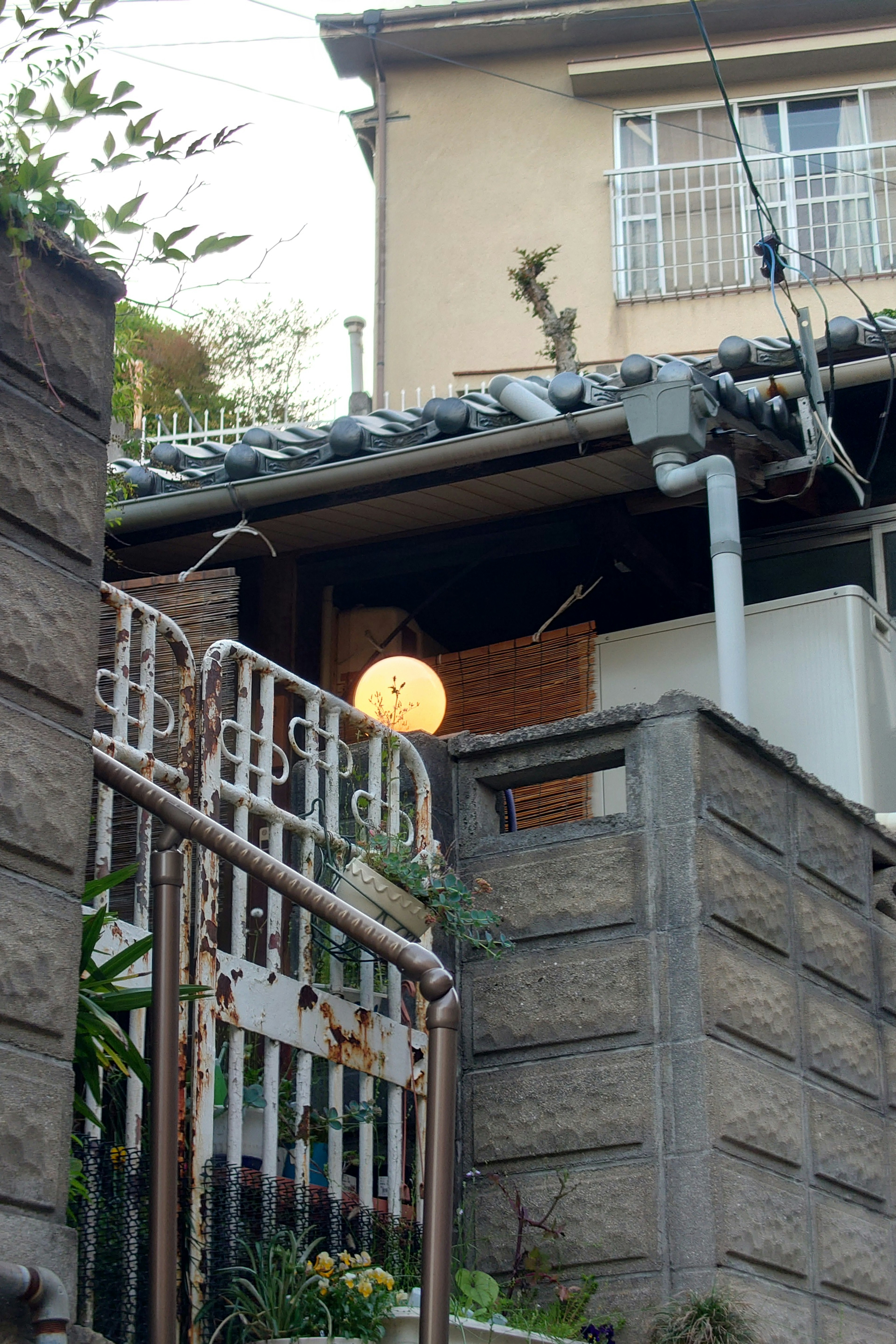 An old Japanese house with a tiled roof and a gate surrounded by green plants