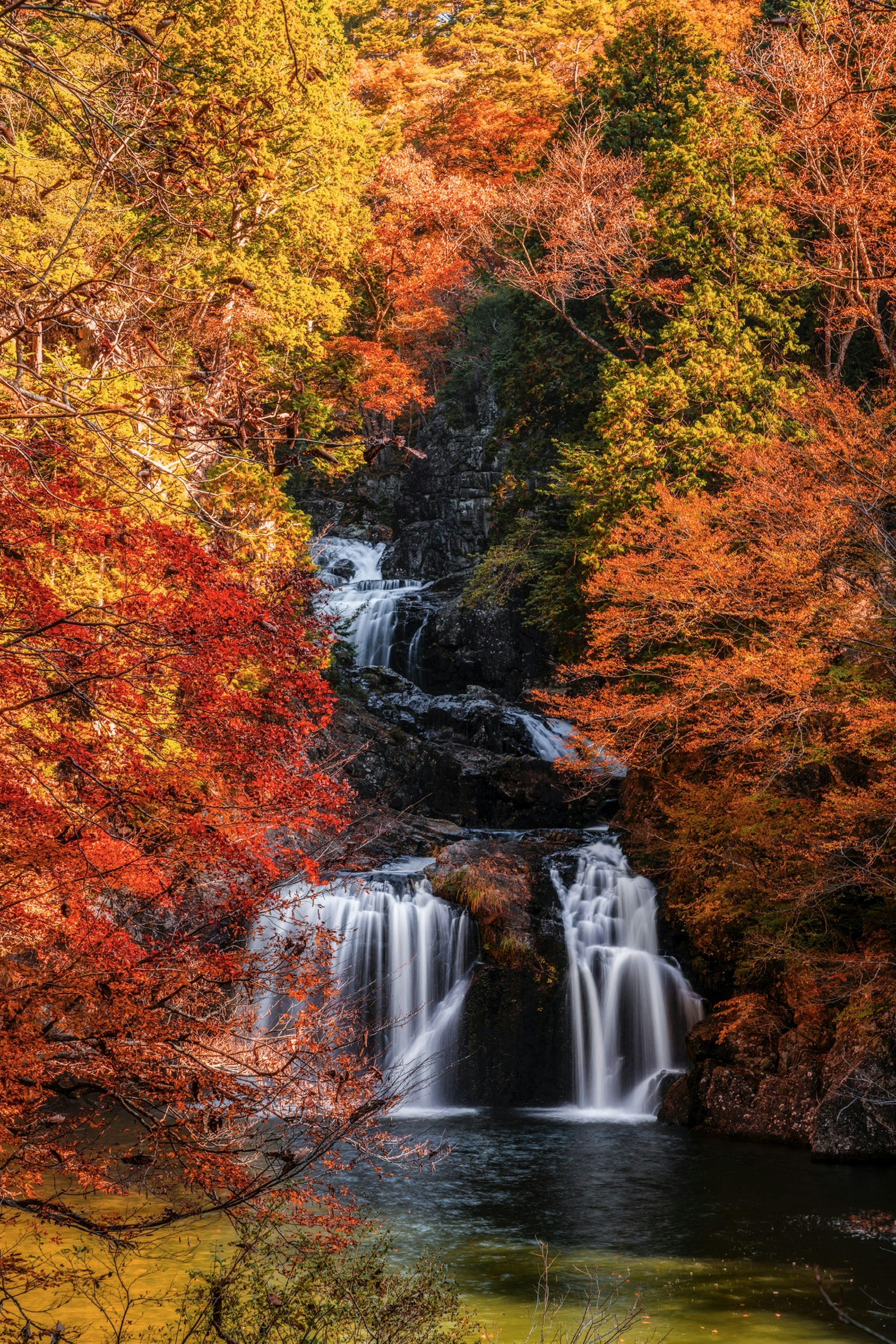 Cascata panoramica circondata da foglie autunnali vivaci