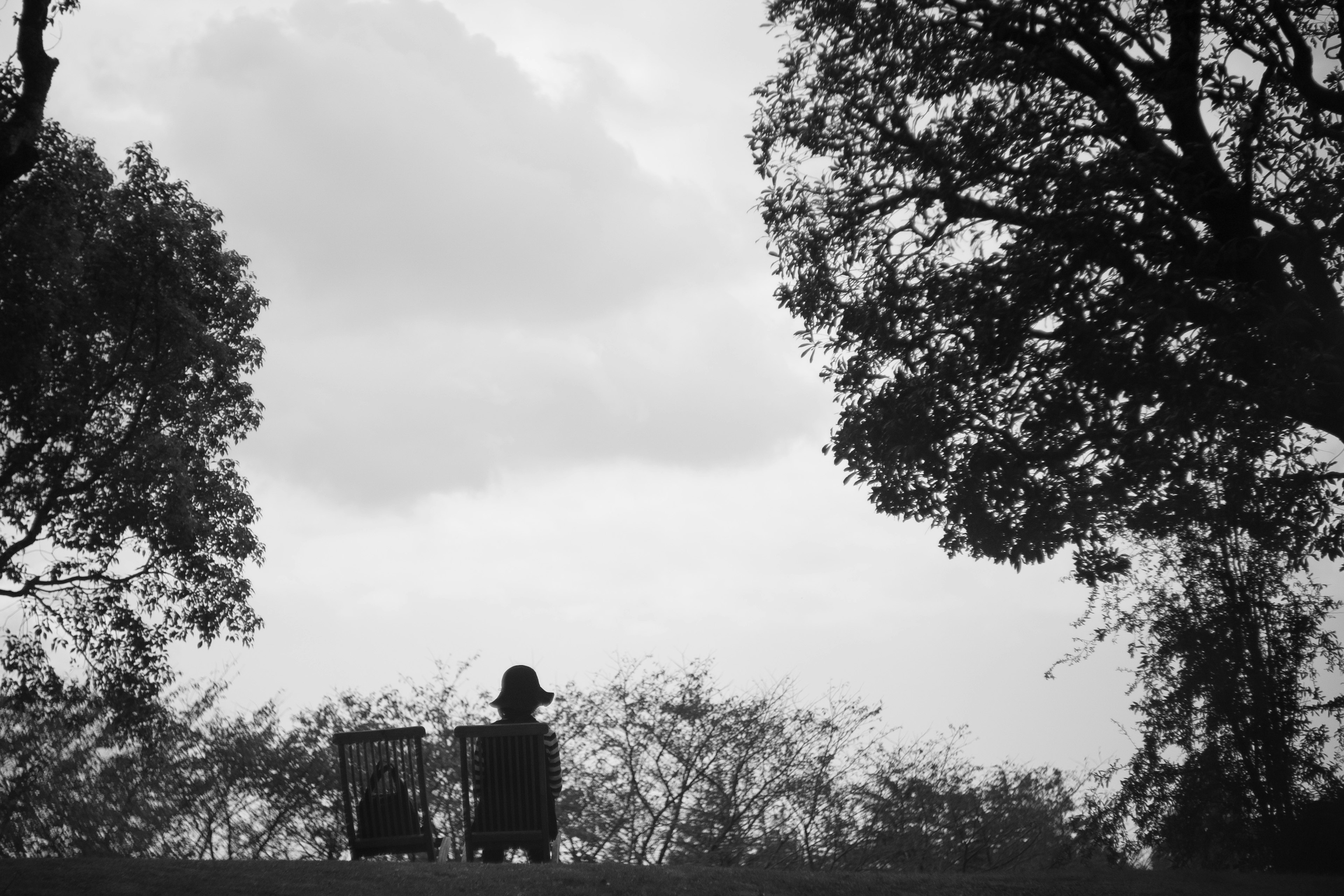 黒と白の風景に silhouetted 人物と二つのかご木と雲