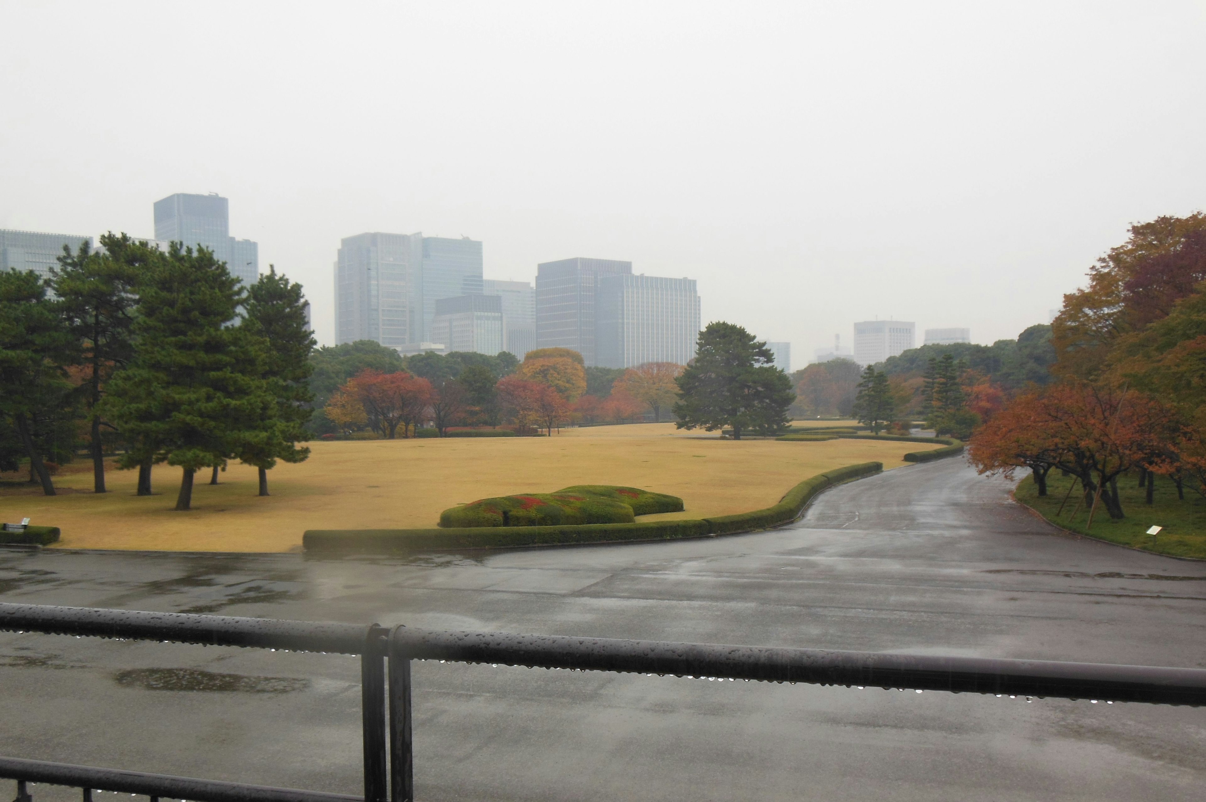 Vista del parque en un día lluvioso con el horizonte de la ciudad y árboles de otoño