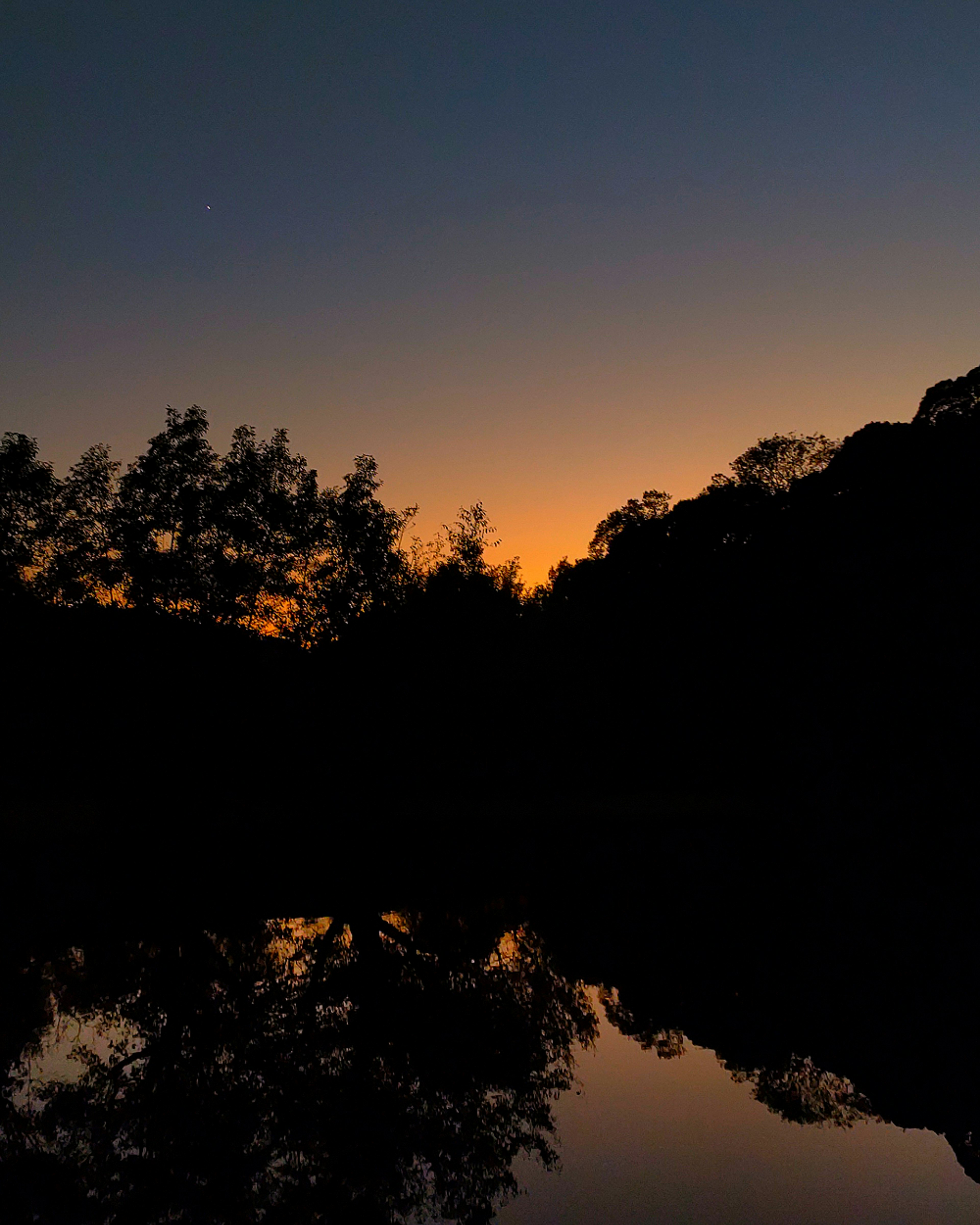 Ruhiger See, der die Farben des Sonnenuntergangs und silhouettierte Bäume reflektiert