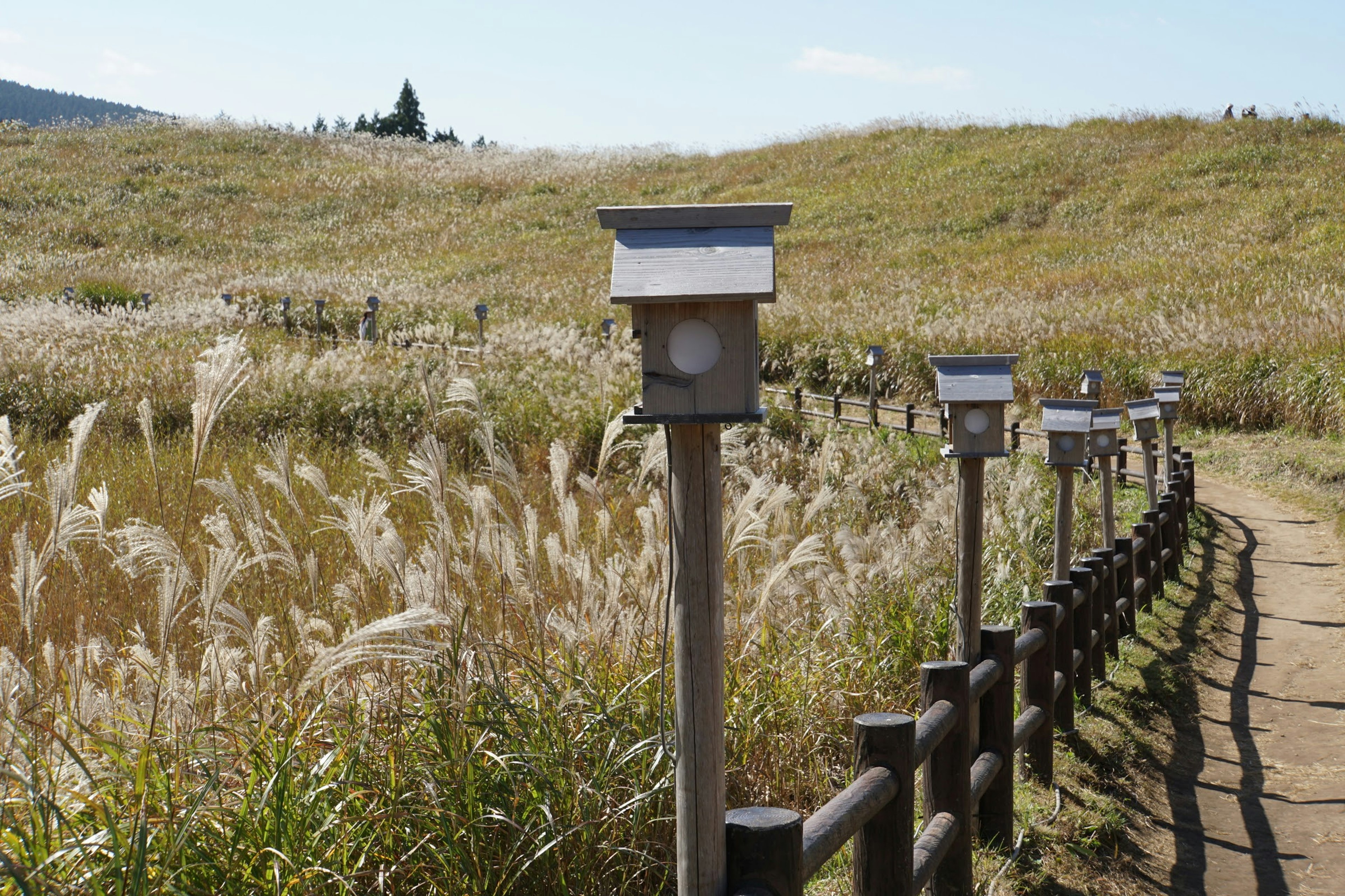 道沿いに並ぶ鳥小屋と背後の草原の風景