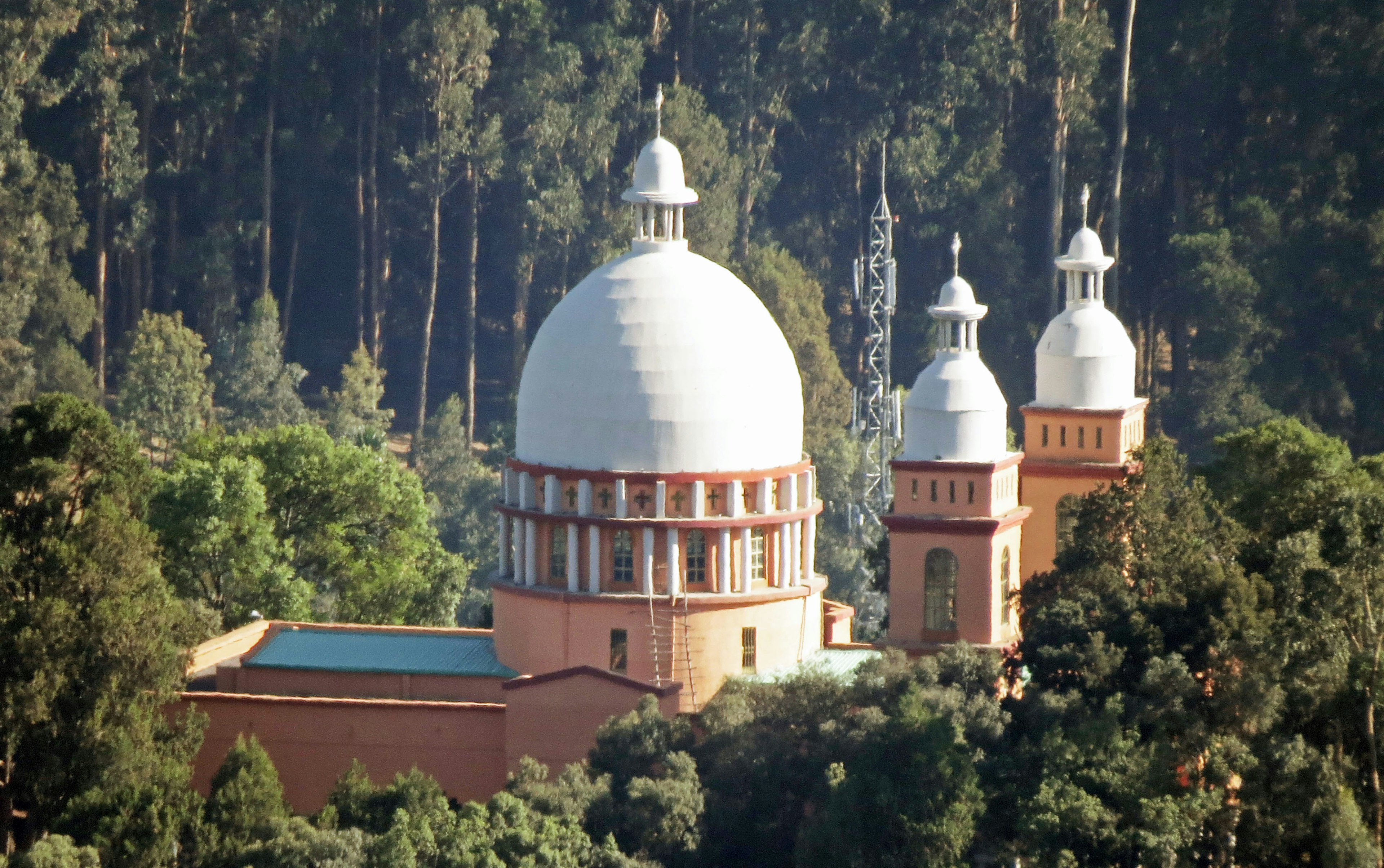 Edificio a forma di cupola circondato da alberi verdi lussureggianti