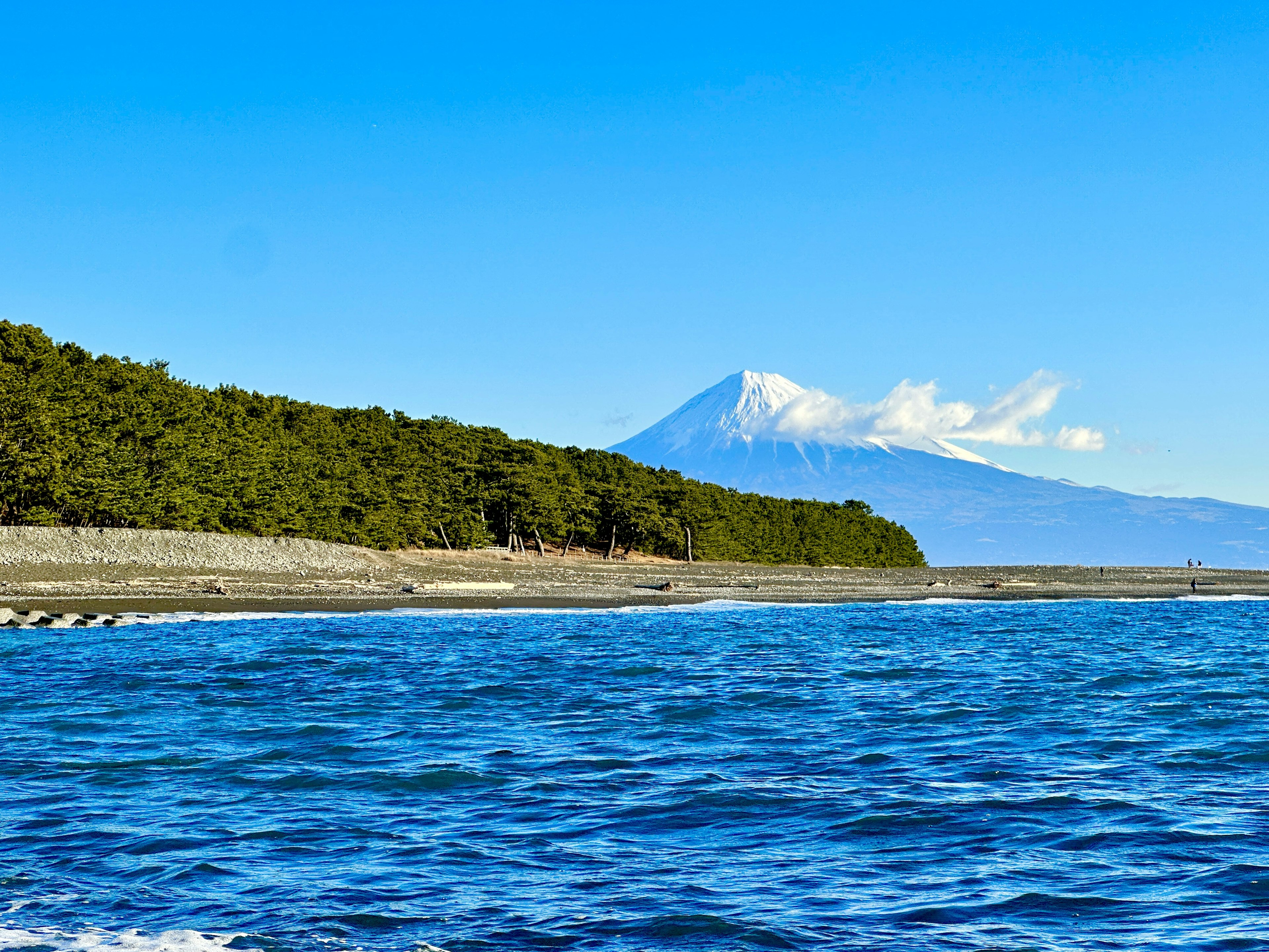 Mont enneigé se levant au-dessus de la mer bleue et des arbres verts