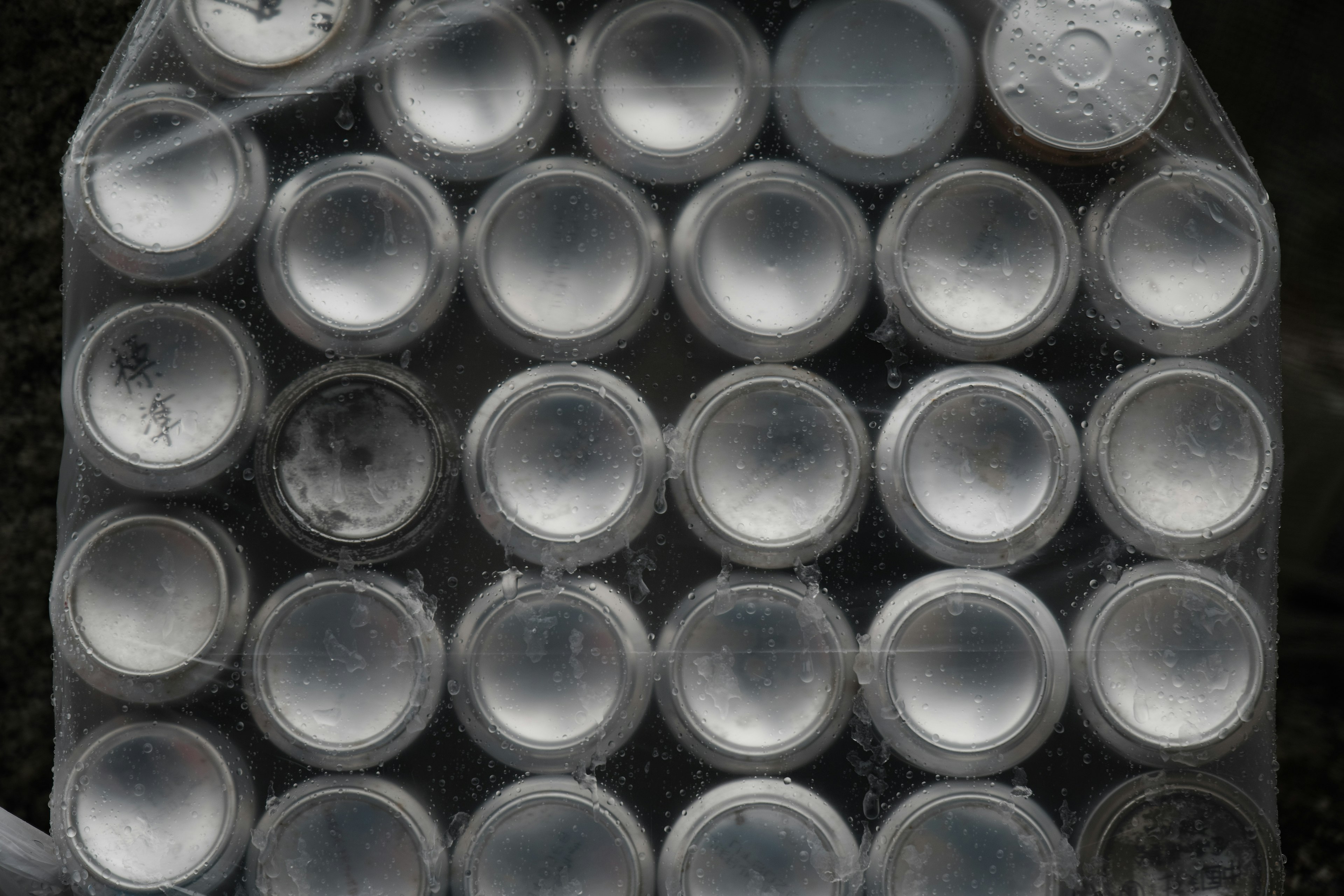 透明なプラスチック製のプレートに並ぶ円形の穴がある画像