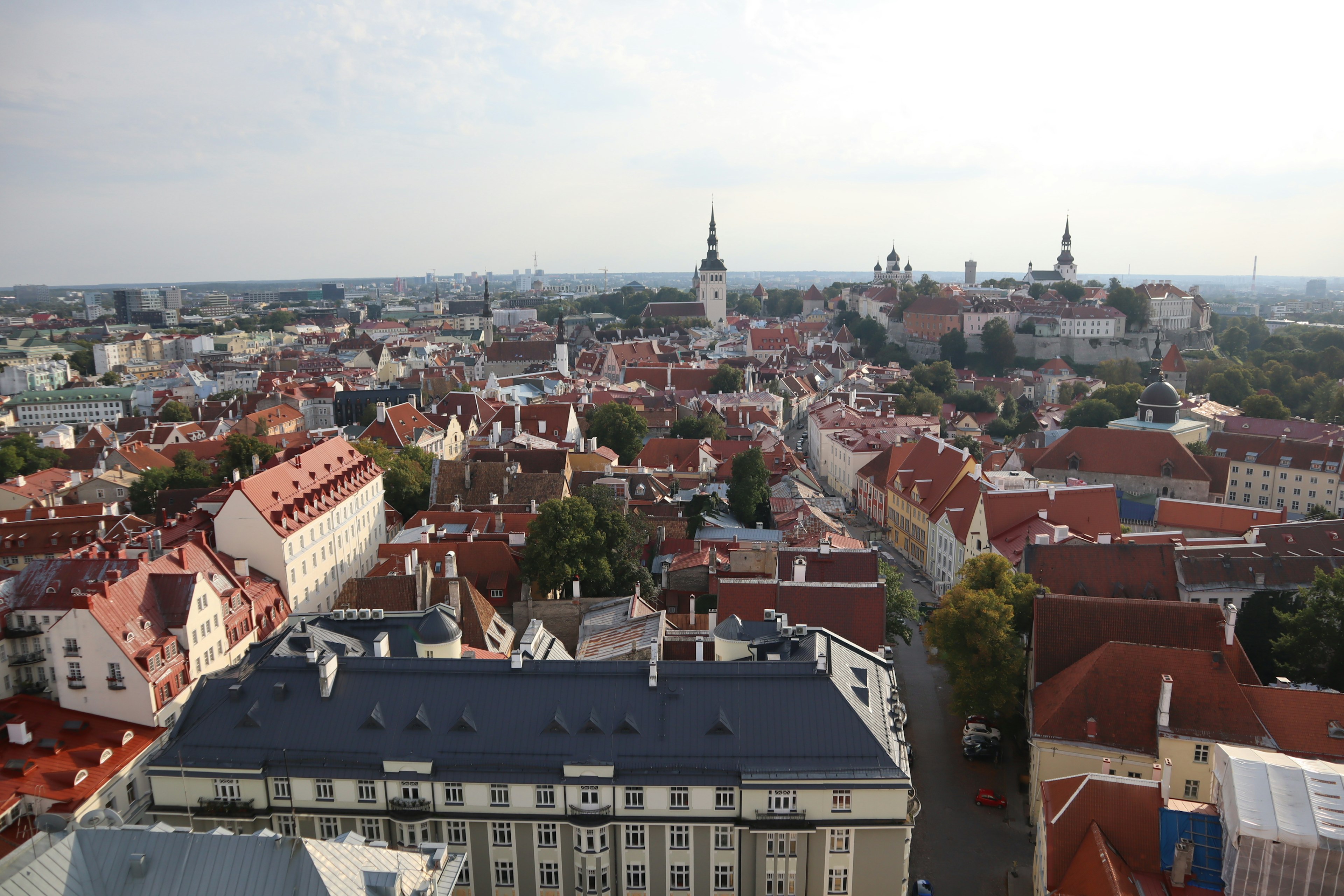 Vista panorámica de Tallin Estonia mostrando techos rojos y edificios históricos