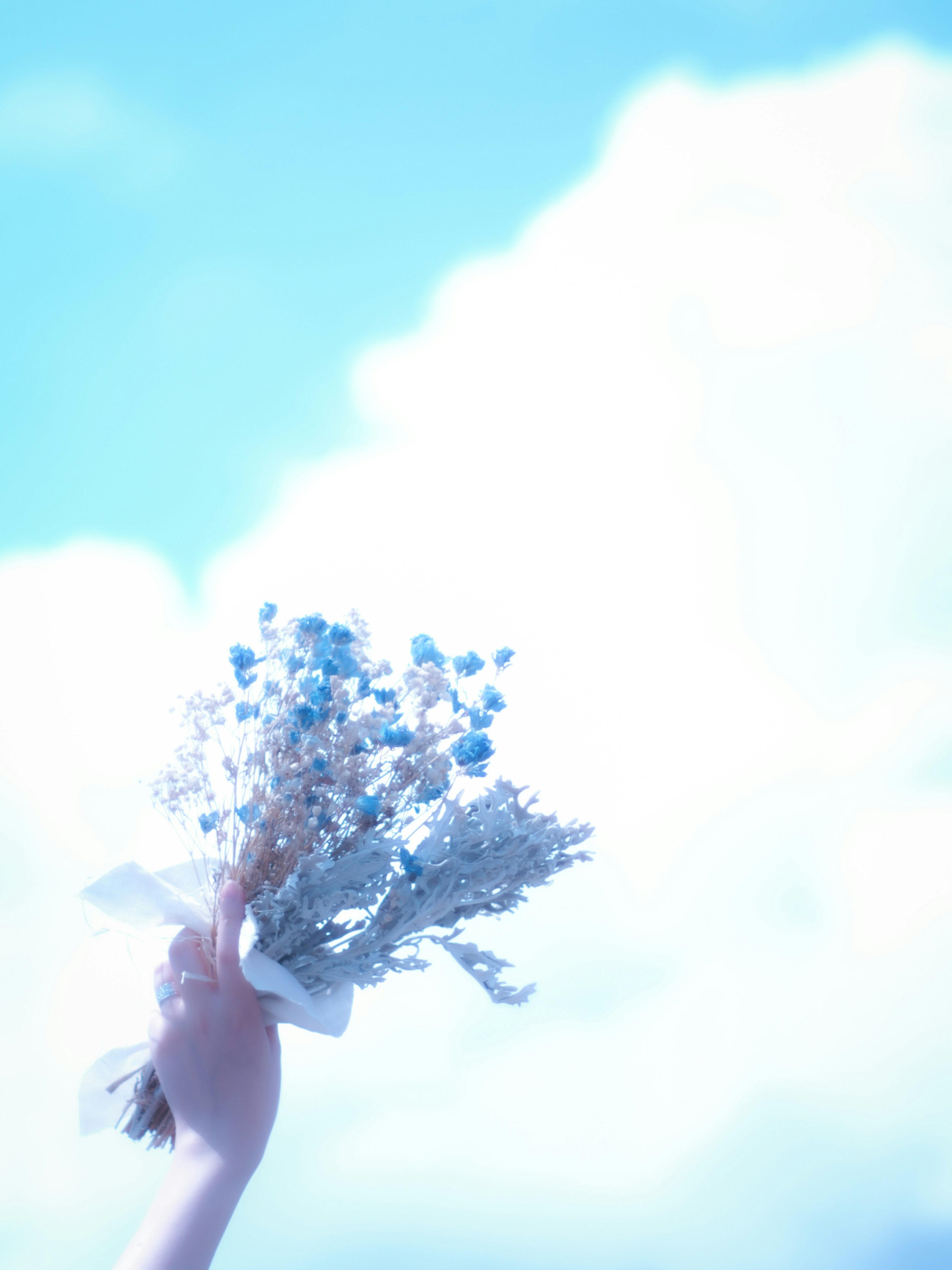 A hand holding a bouquet against a blue sky