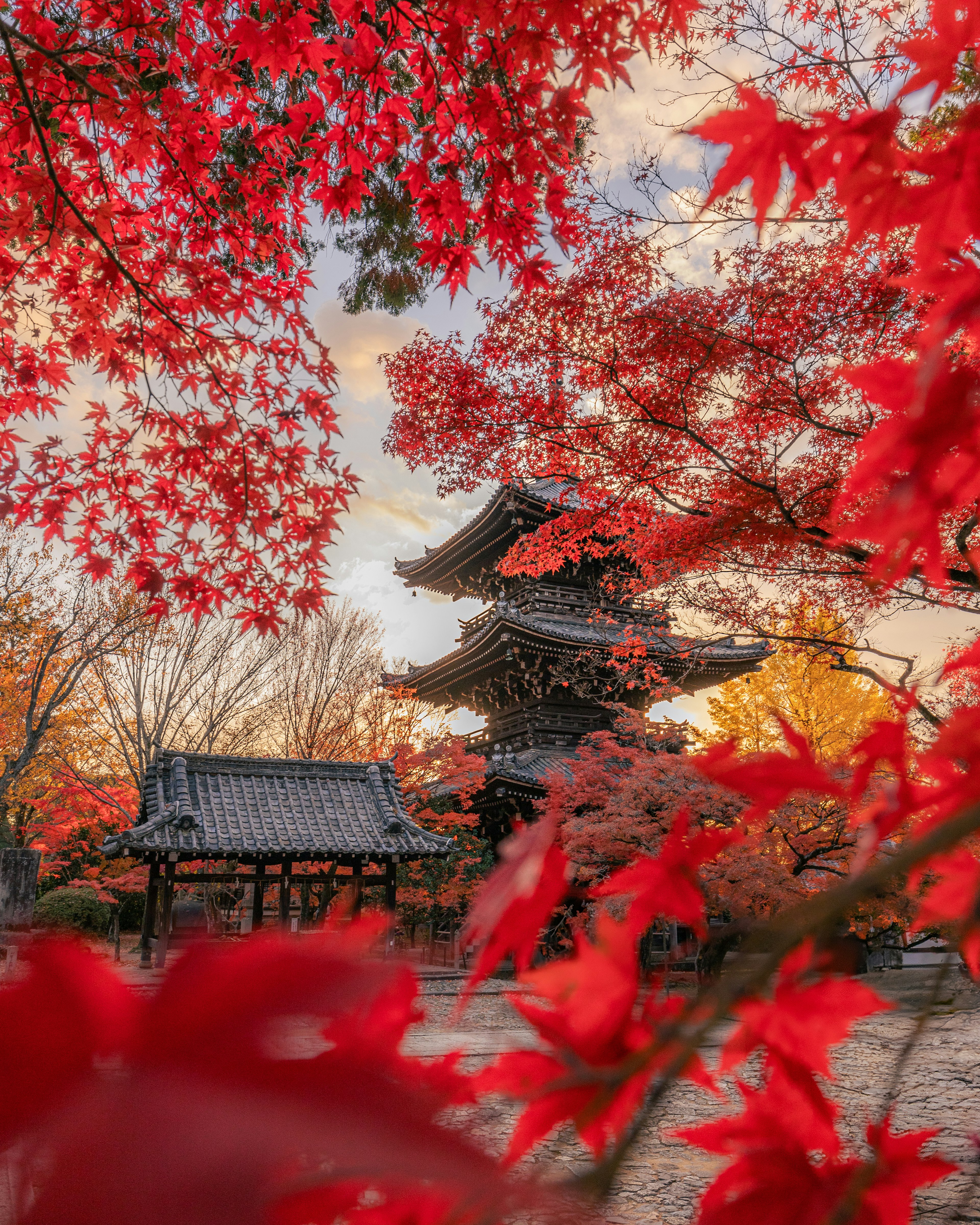 赤い紅葉に囲まれた日本の古い寺院の風景