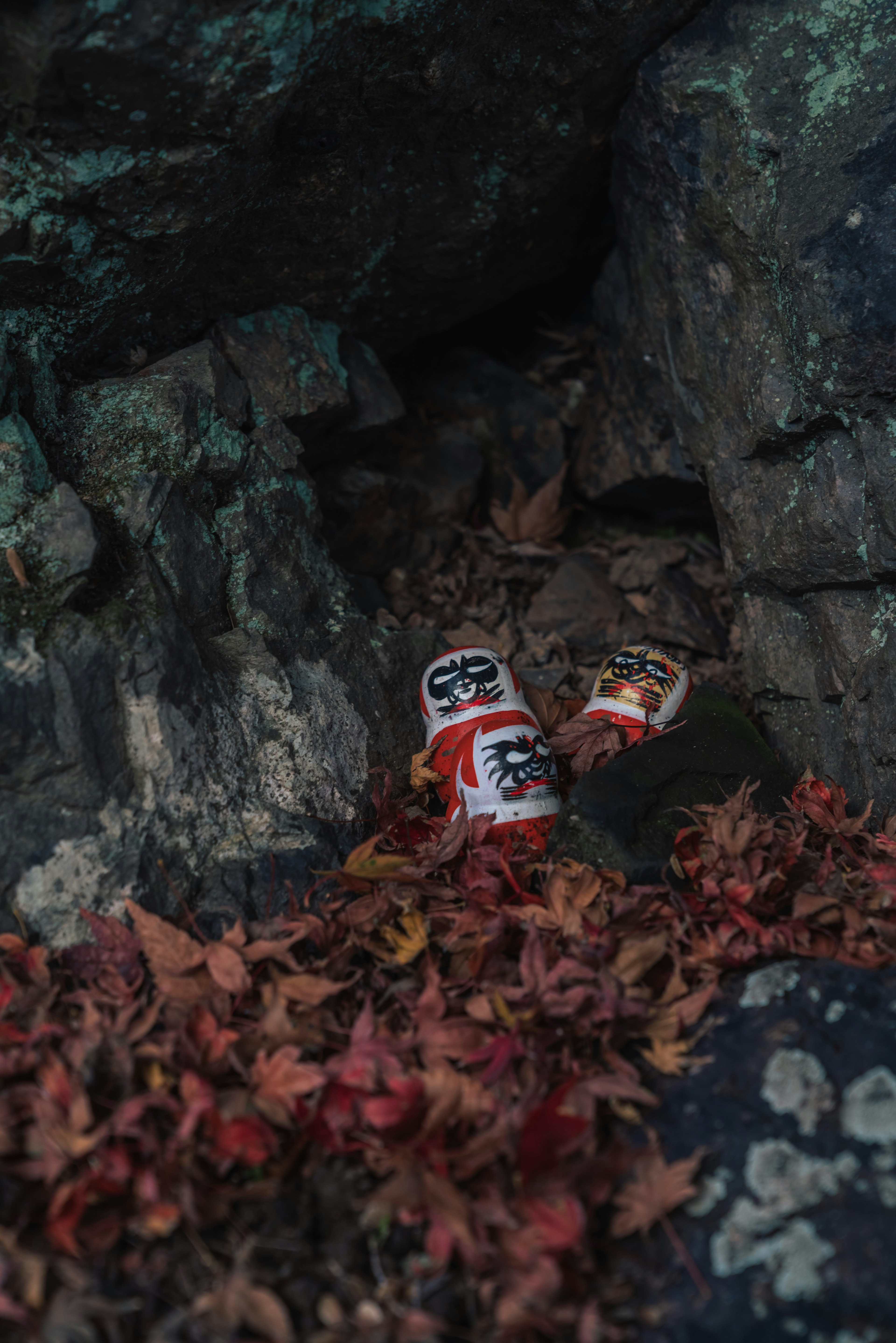 Red and white cans hidden among leaves and rocks