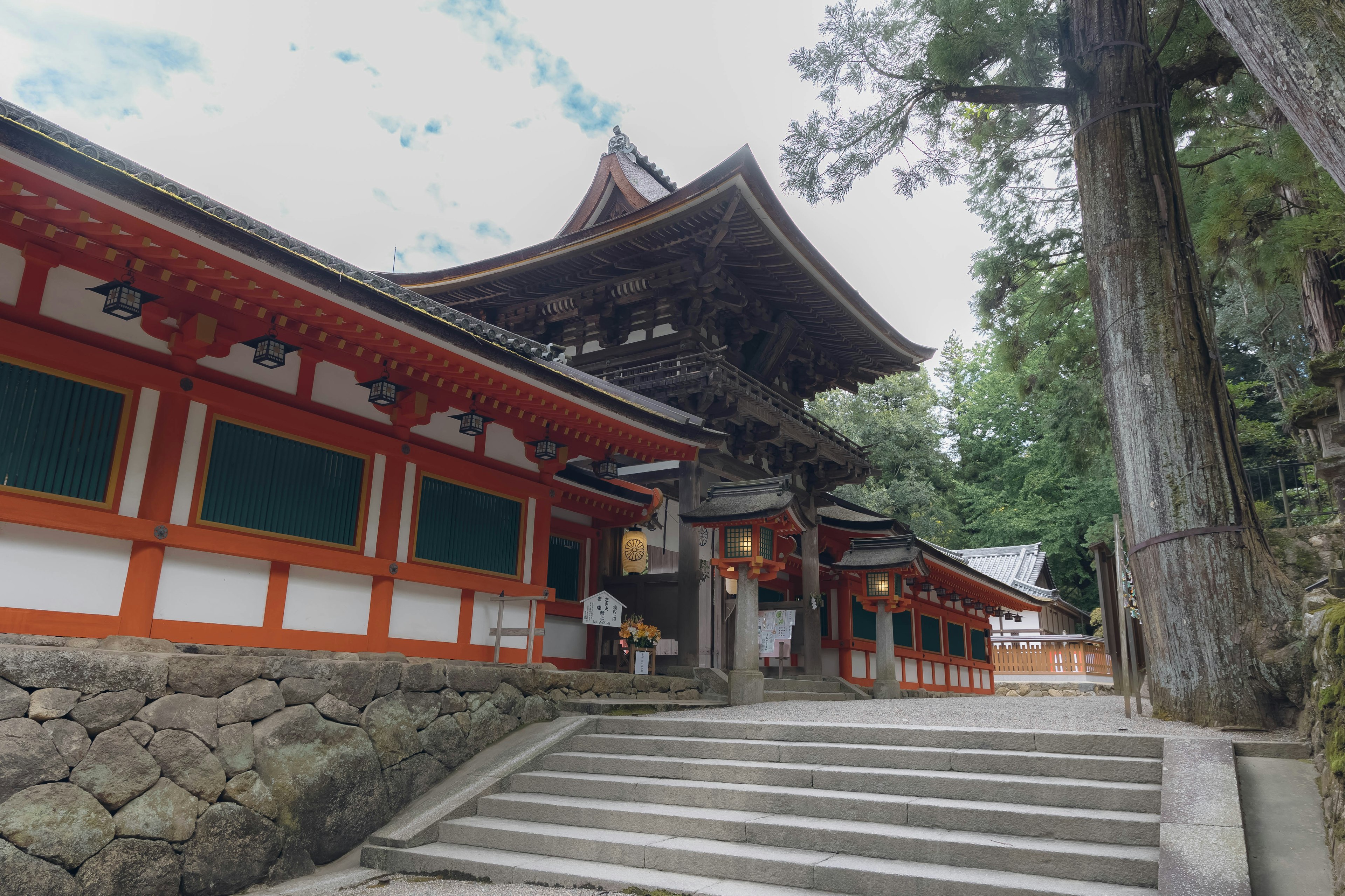 美しい神社の建物が階段の上に立っている緑豊かな森の中の景色