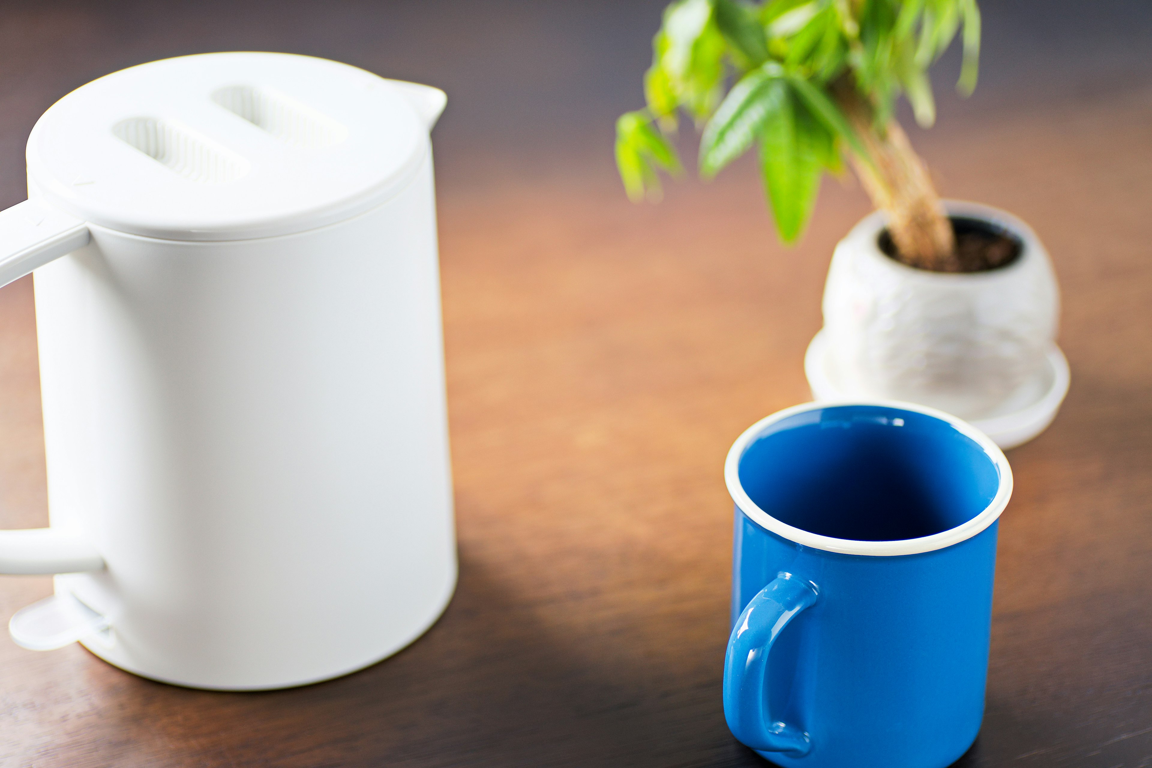 Una tetera blanca y una taza azul sobre una mesa simple con una planta en maceta