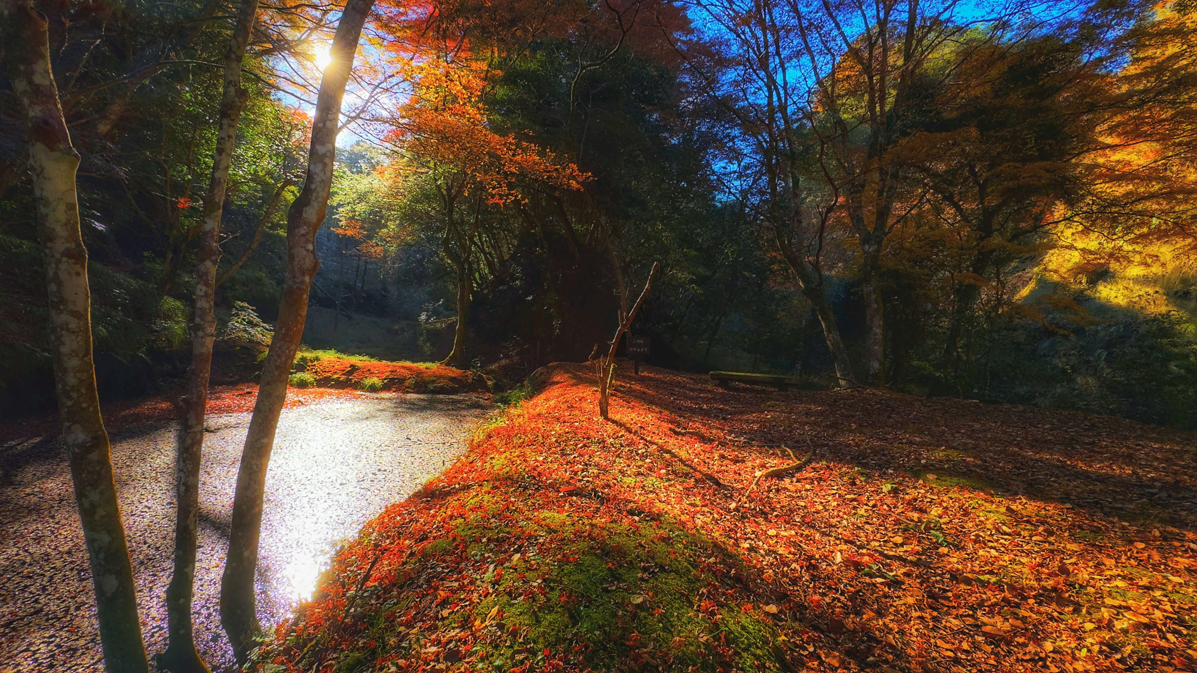 Malersiche Aussicht am Fluss mit lebhaften Herbstfarben