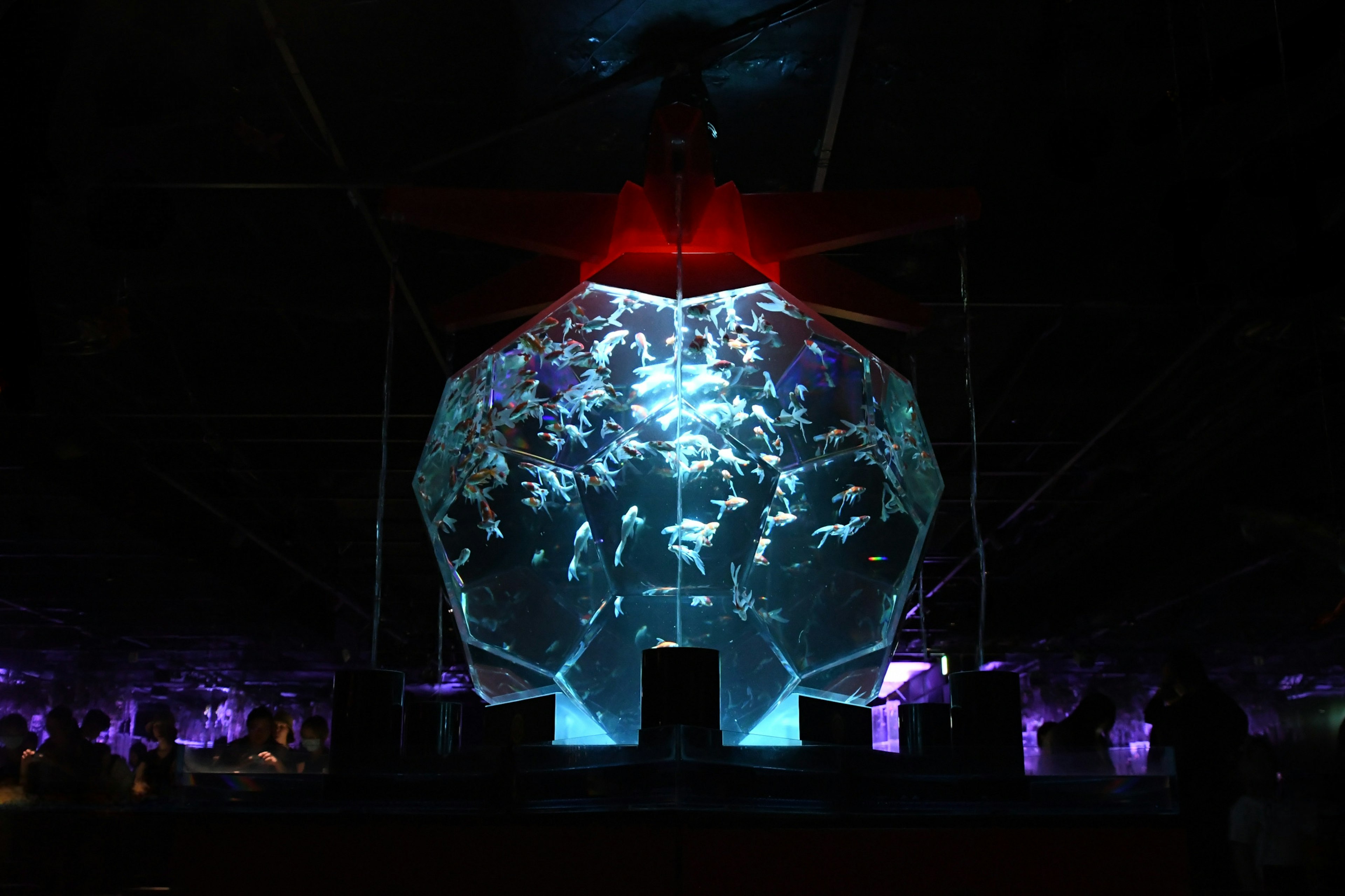 Art installation featuring a light display with numerous fish swimming in a tank