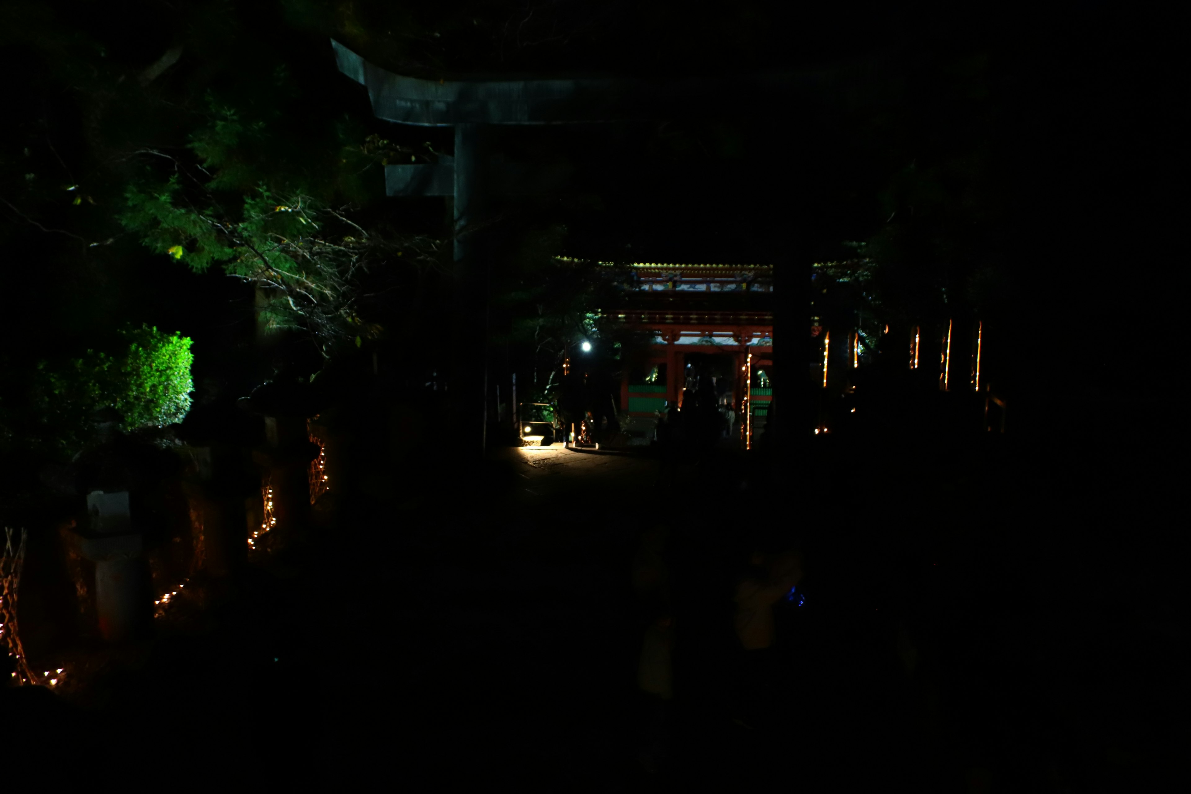 Sendero del santuario débilmente iluminado con plantas iluminadas y decoraciones