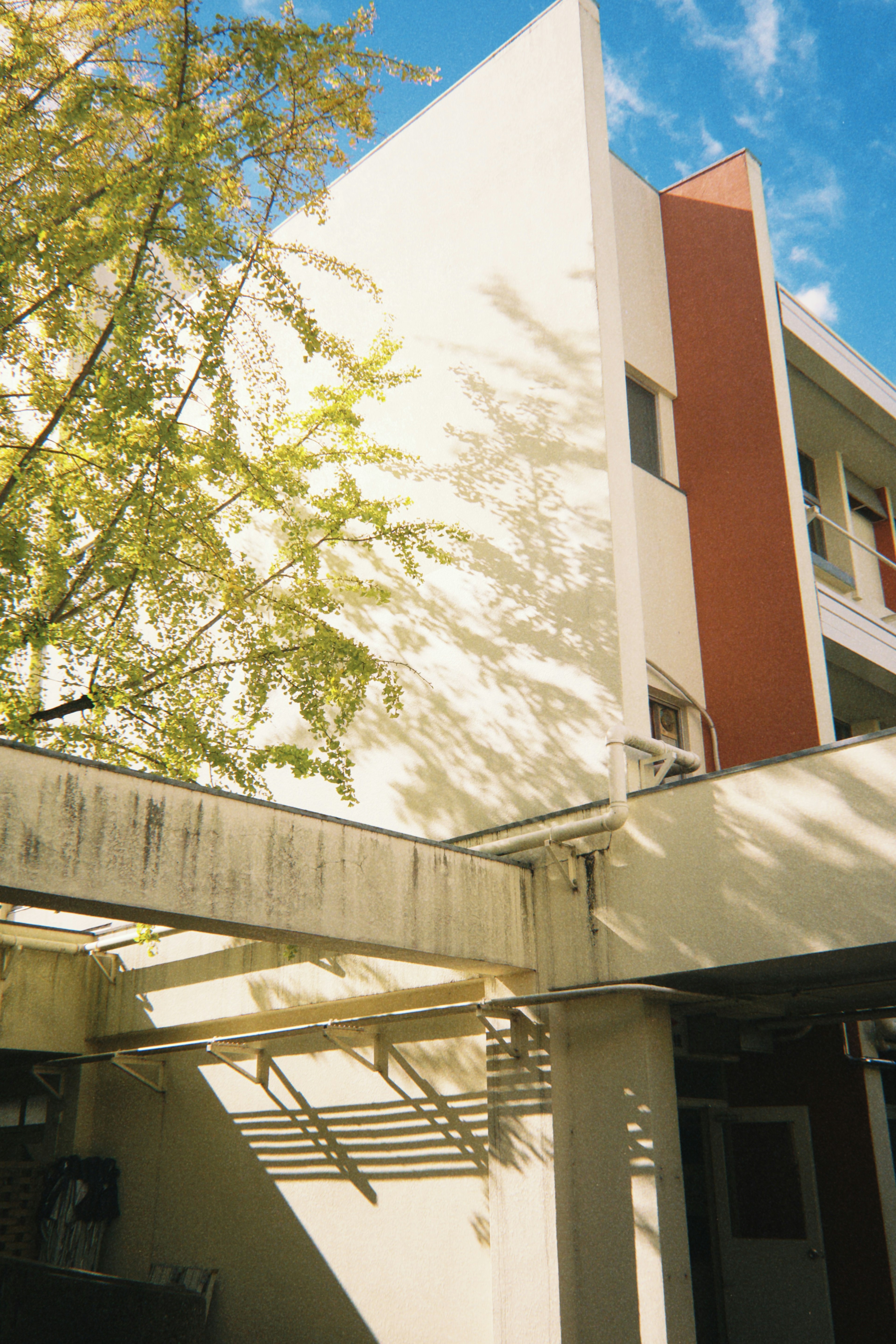 Modern building section with shadows from trees under blue sky